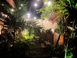 Outdoor patio area with seating surrounded by tropical plants and warm evening lights.
