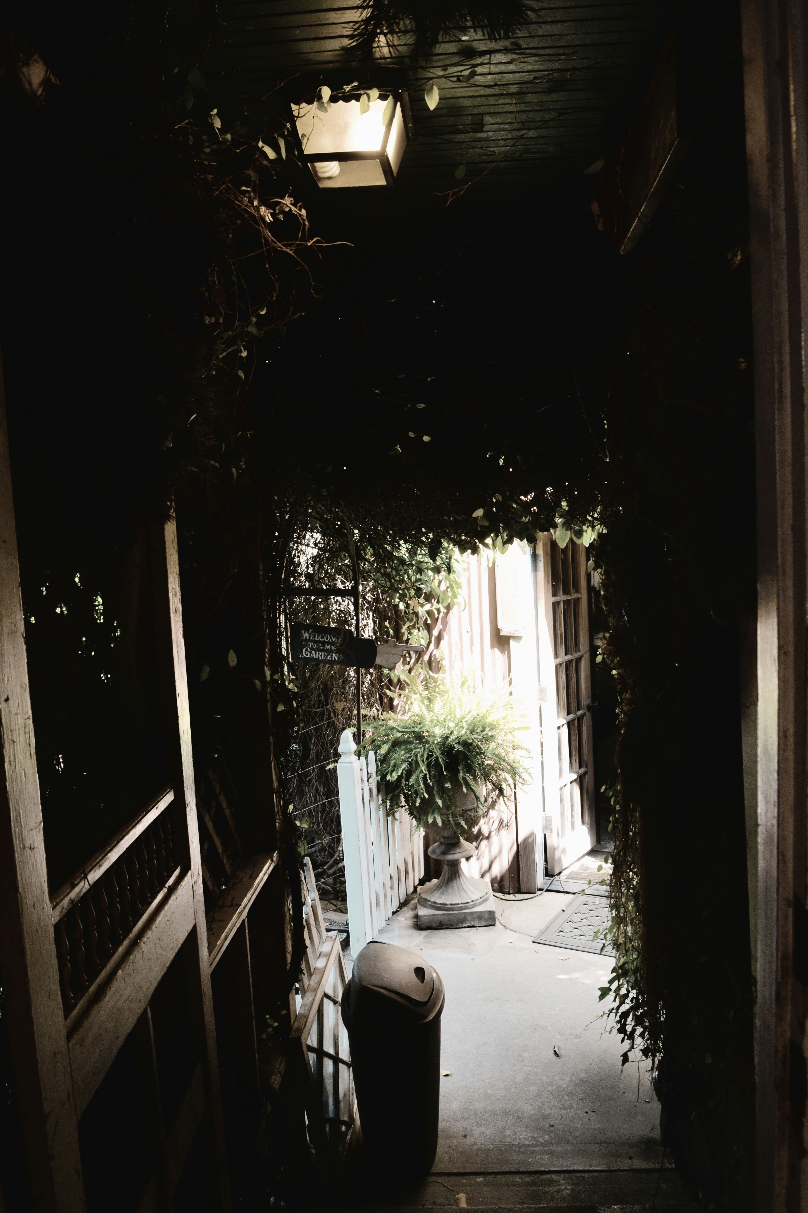 Photo by punkrockhippy_