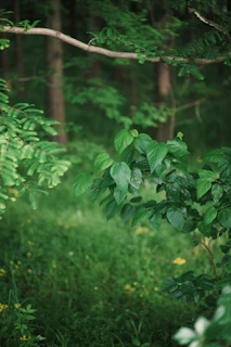 Close-up of a lush forest painting with rich emerald greens and textured brushstrokes
