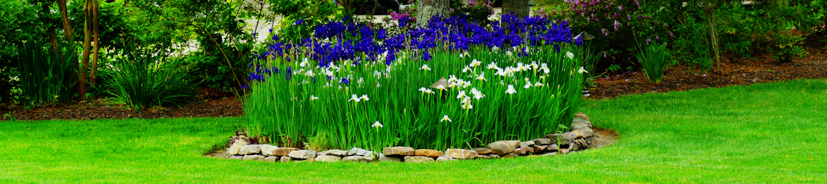 Cut Landscaper Document Collection 2026 [Decision Guide]