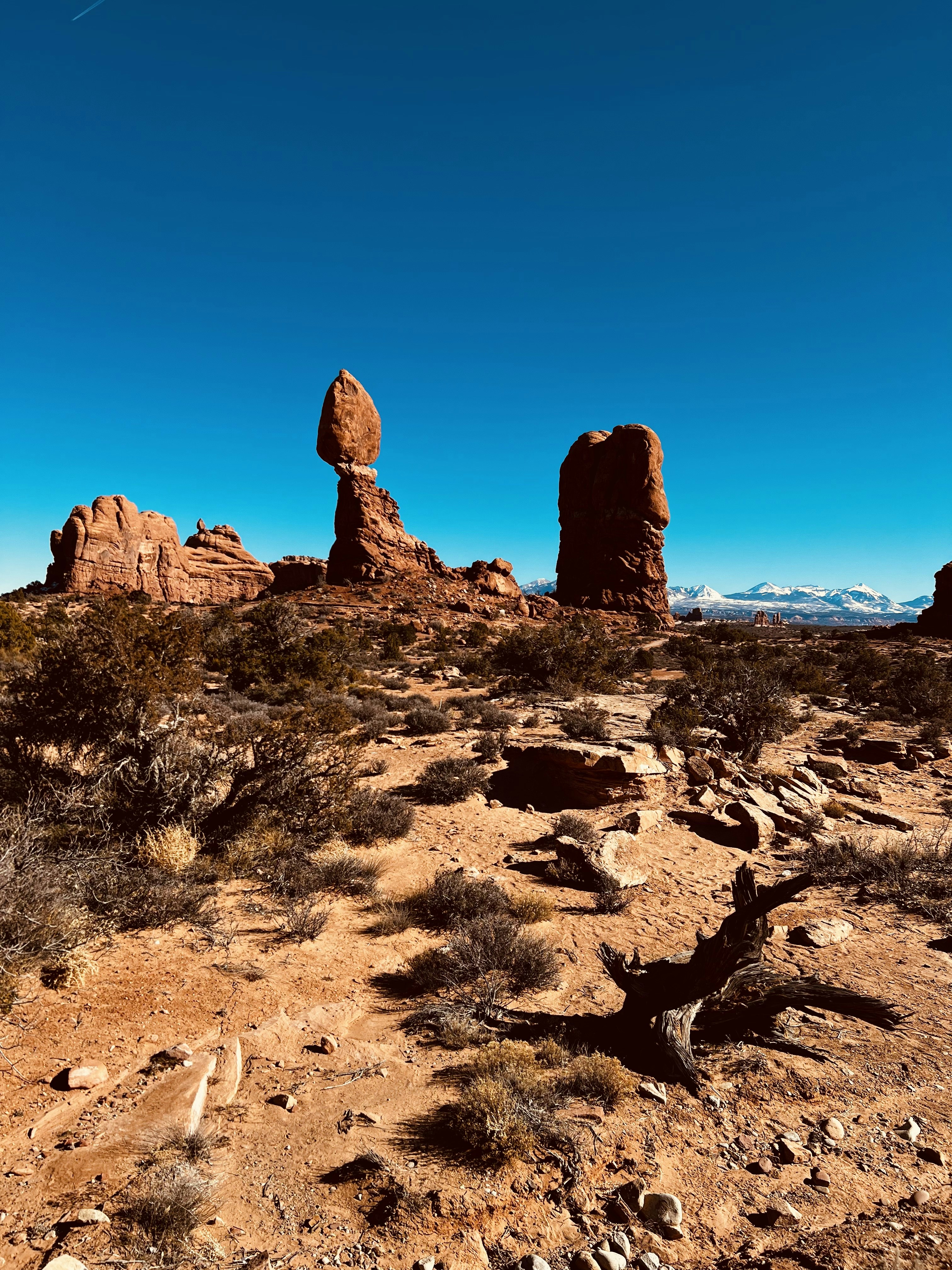 Photo by emma_vividorb