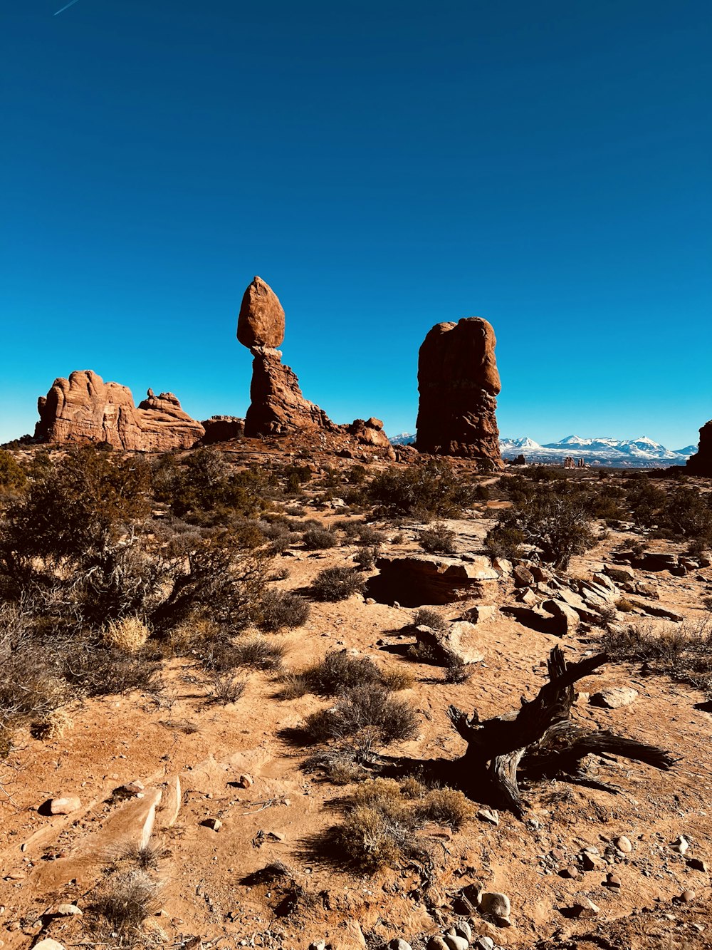 a desert landscape with tall rocks
