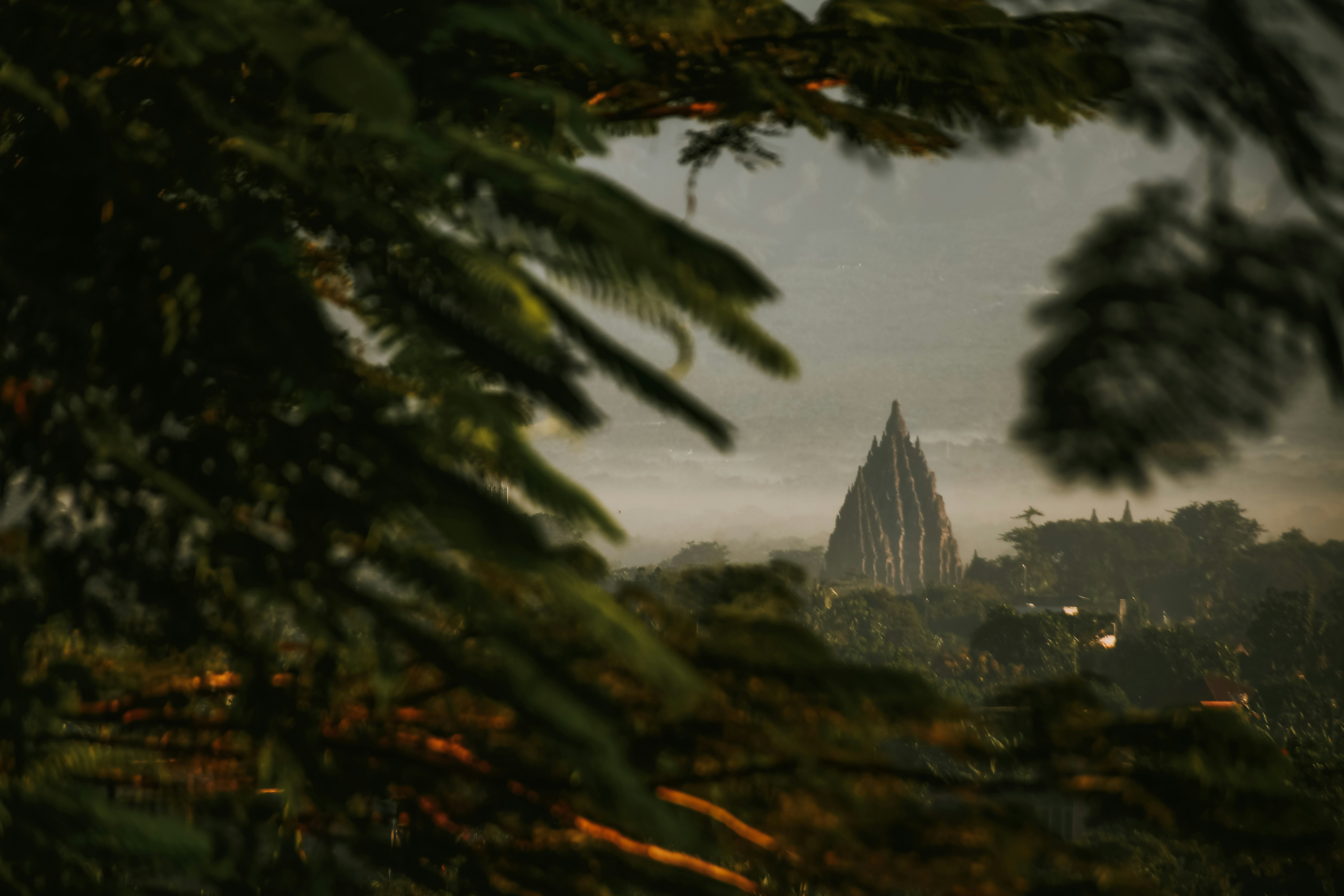 a view of a city from a tree, a beautiful prambanan temple from the foliage with clear view of prambanan temple, sleman, yogyakarta, indonesia.