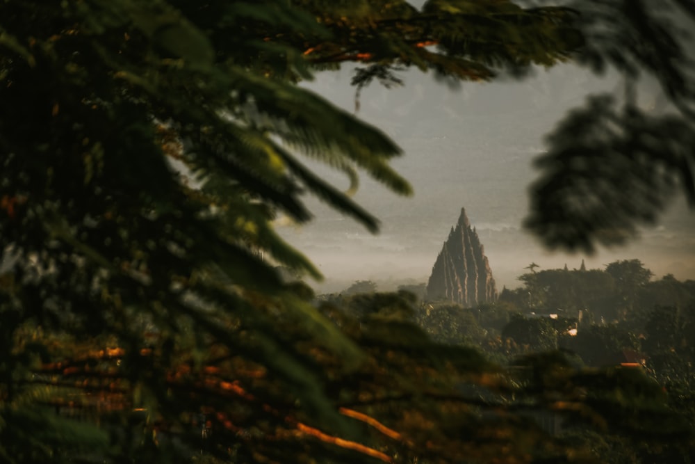 a view of a city from a tree