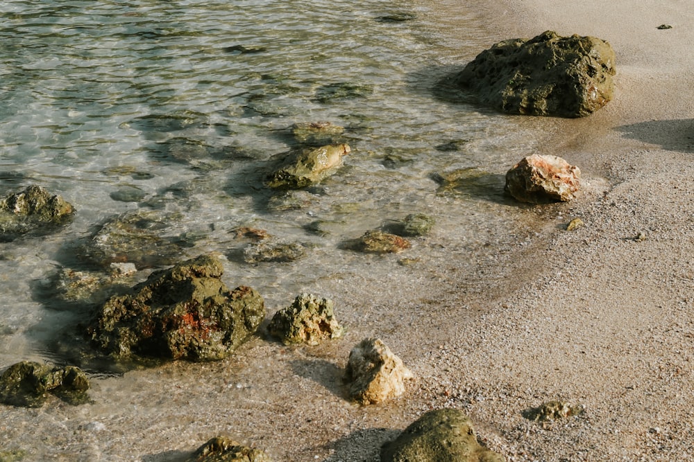 rocks in the water