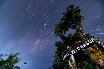 Long exposure photograph of the night sky, with visible star trails creating streaks against the dark backdrop. A structure made of natural stone and wood is present with vegetation, including a prominent tree at the top. The words 'Tebing Watu Mabur' are visible on the structure.