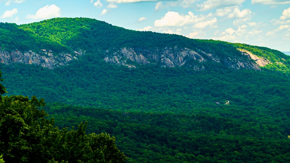 a mountain with trees below