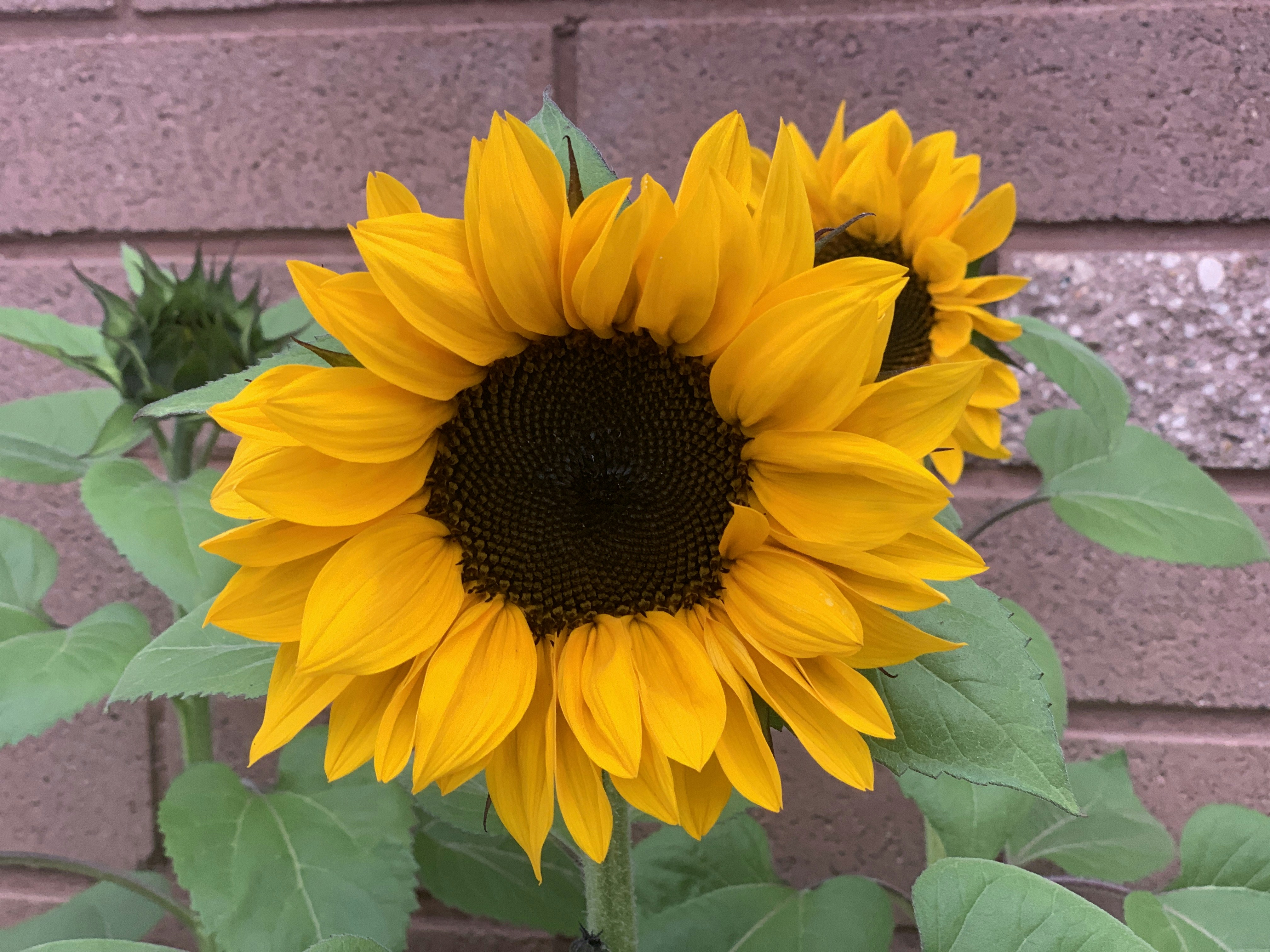 Photo by renemolenkamp