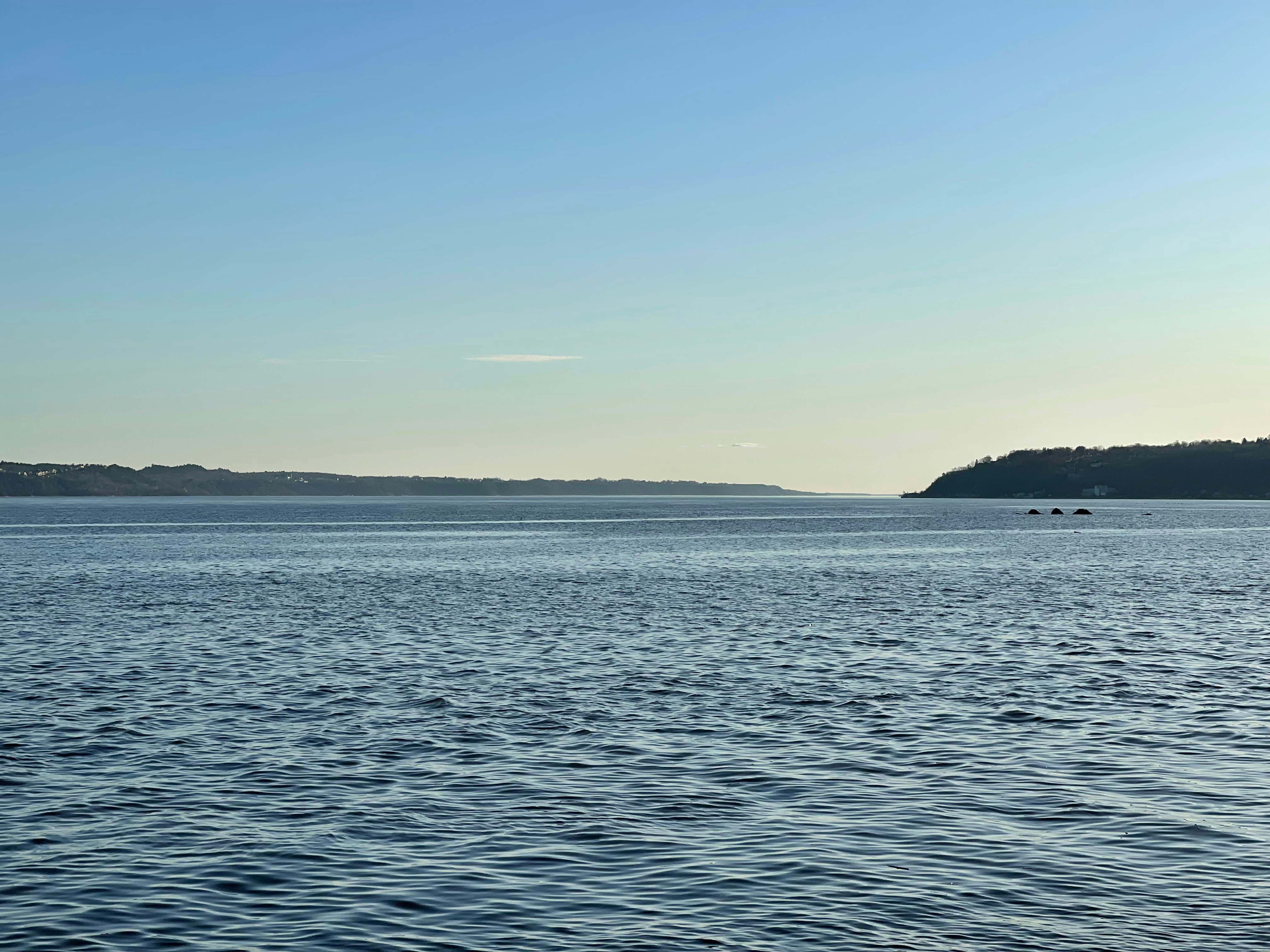 Photo by andresmachado_