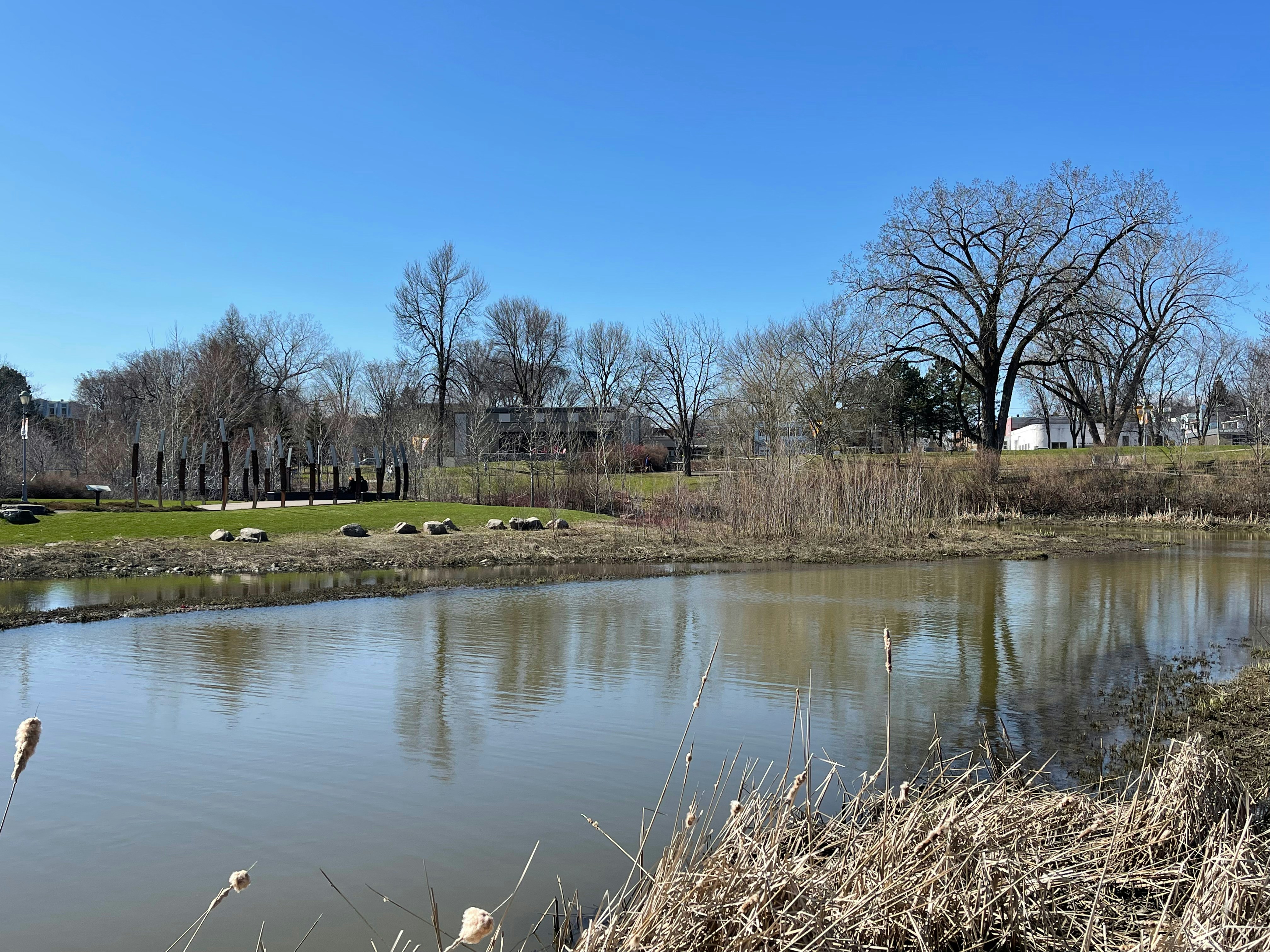 Photo by andresmachado_