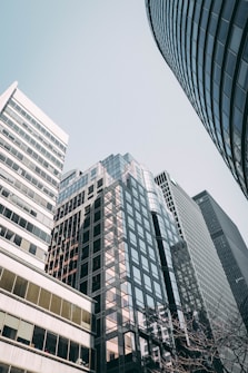 a group of skyscrapers