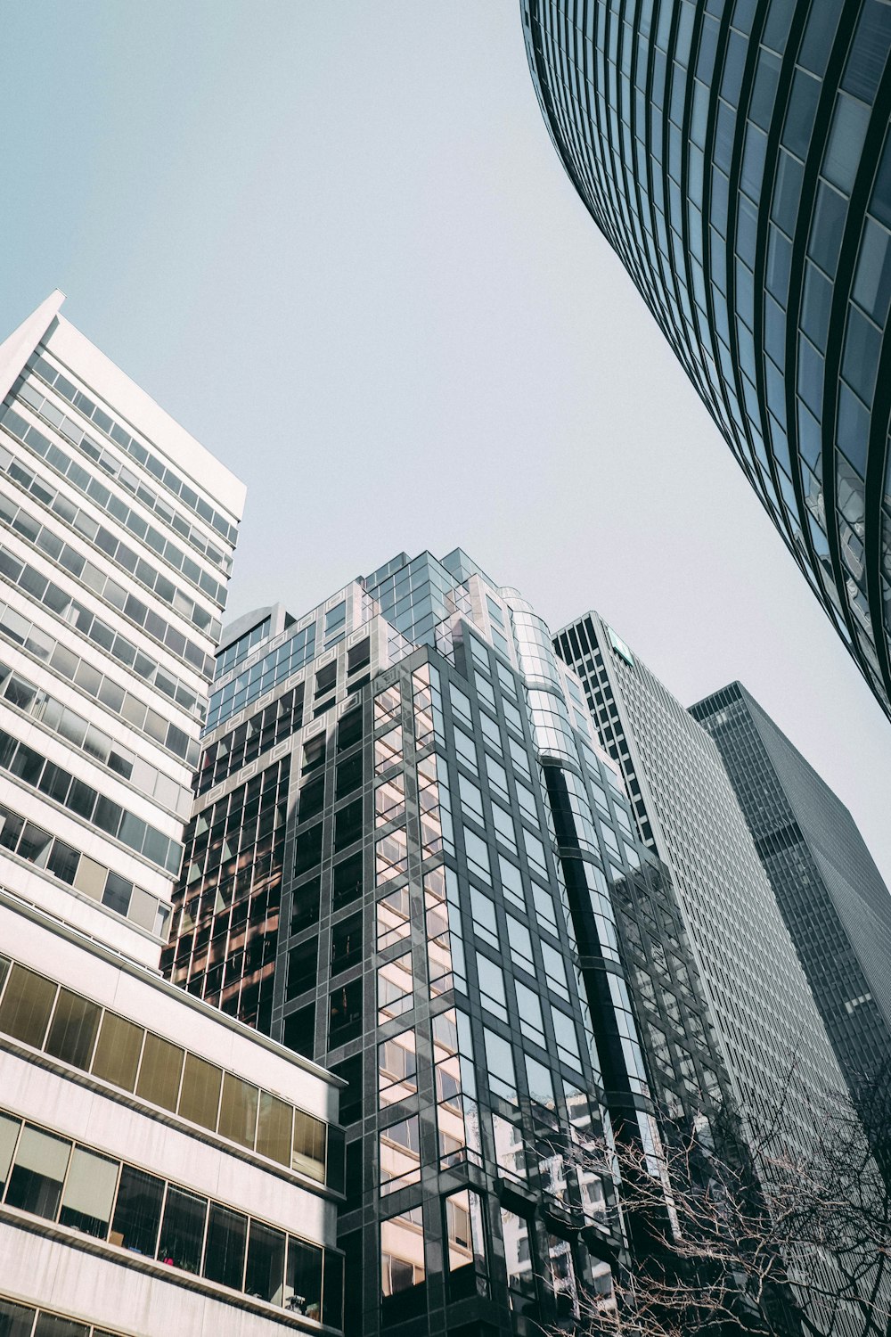 a group of skyscrapers