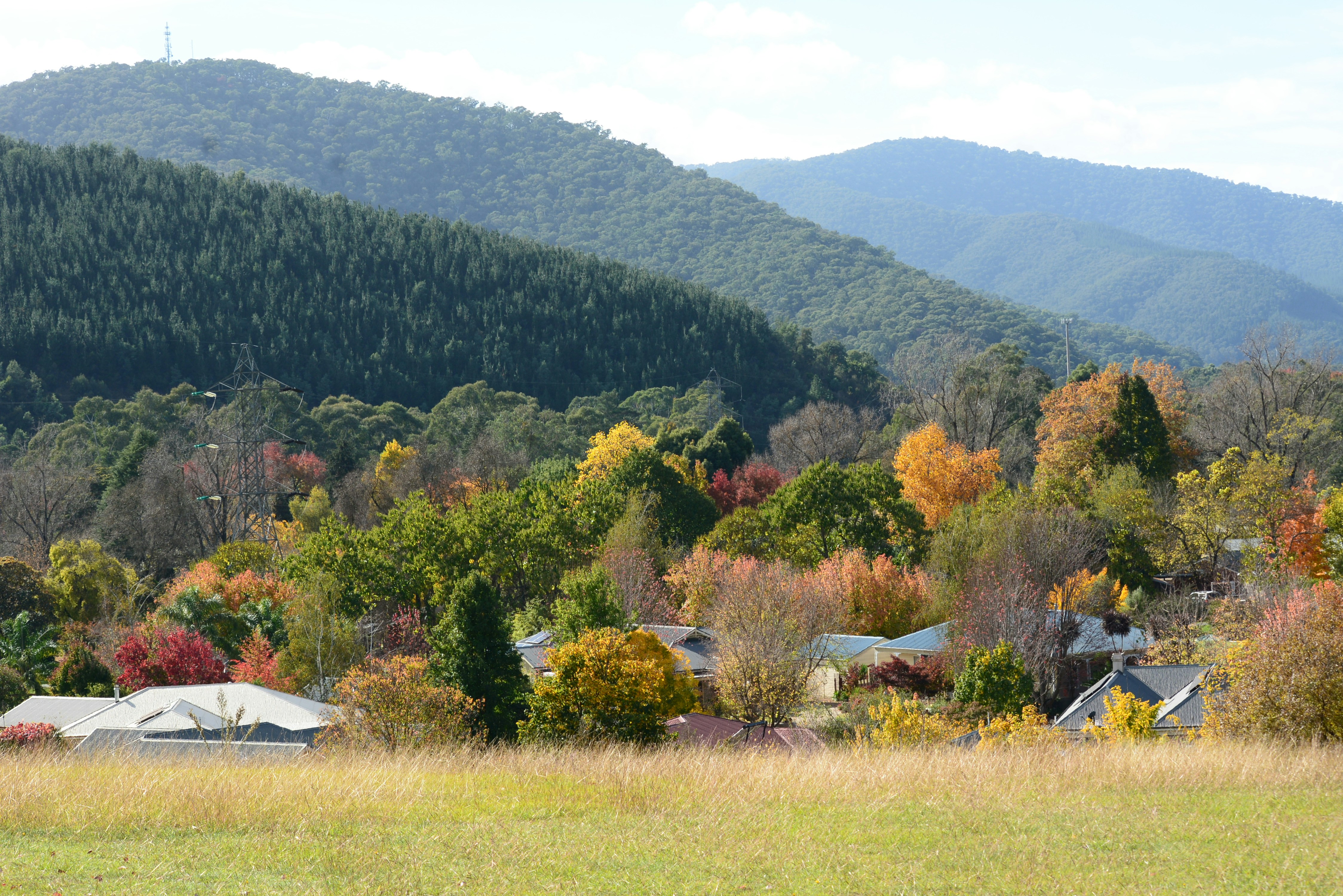 Photo by richard7seals