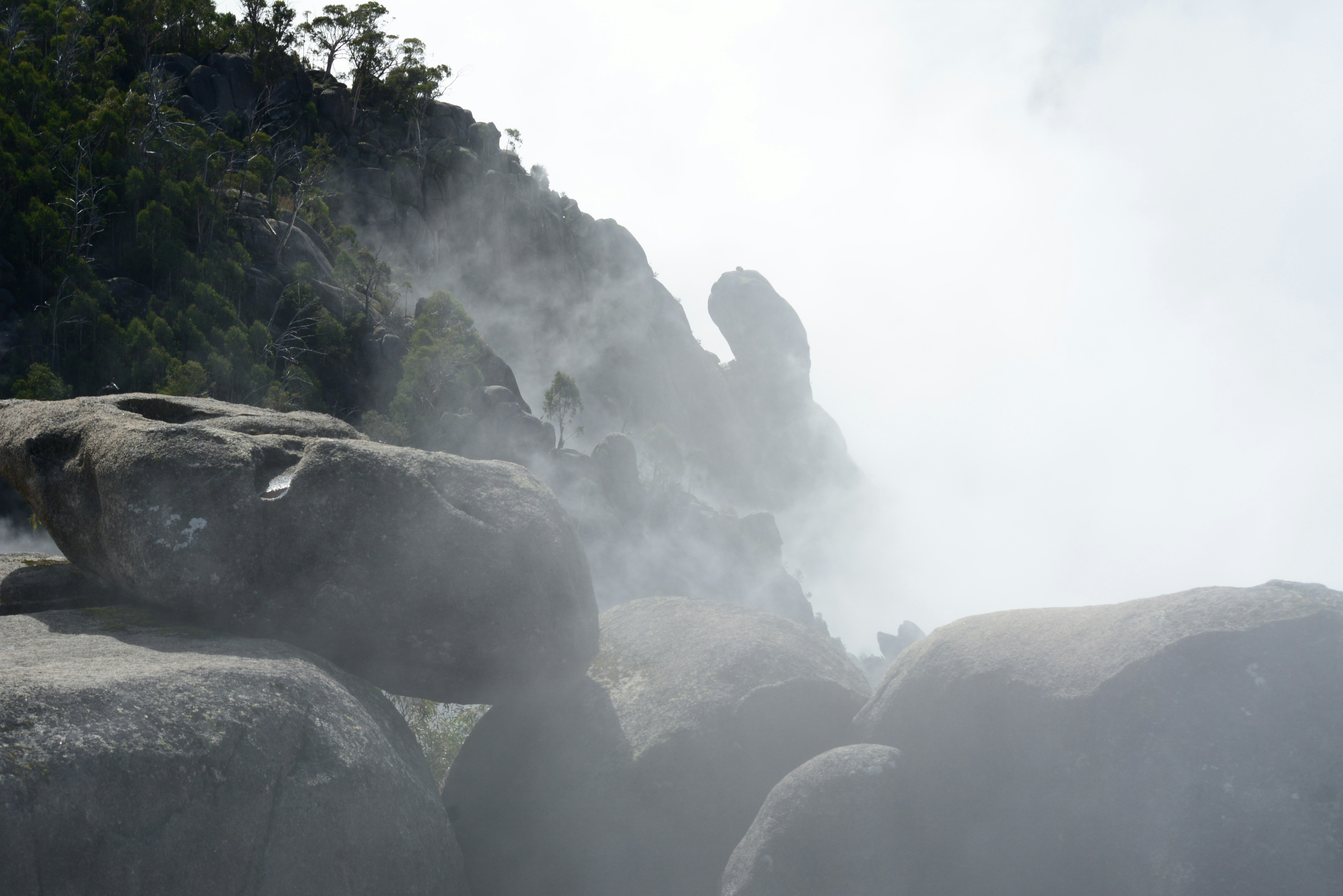 Photo by richard7seals