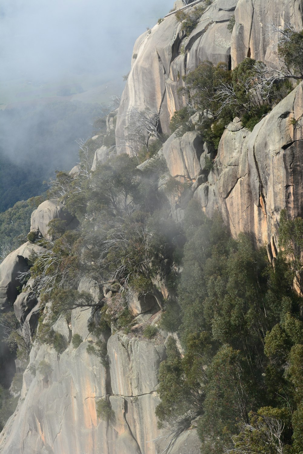 a rocky cliff with trees