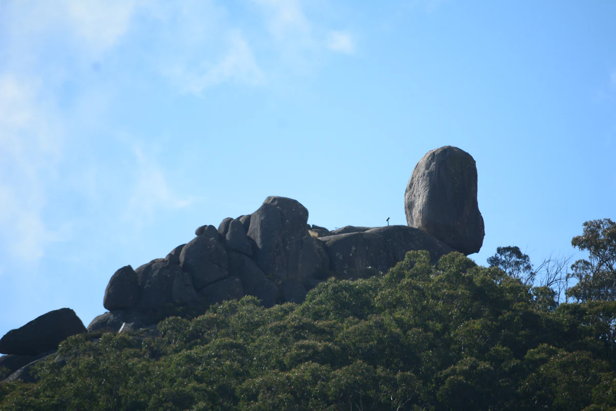 A granite tor with a perched boulder on a forested ridge of Mount Buffalo