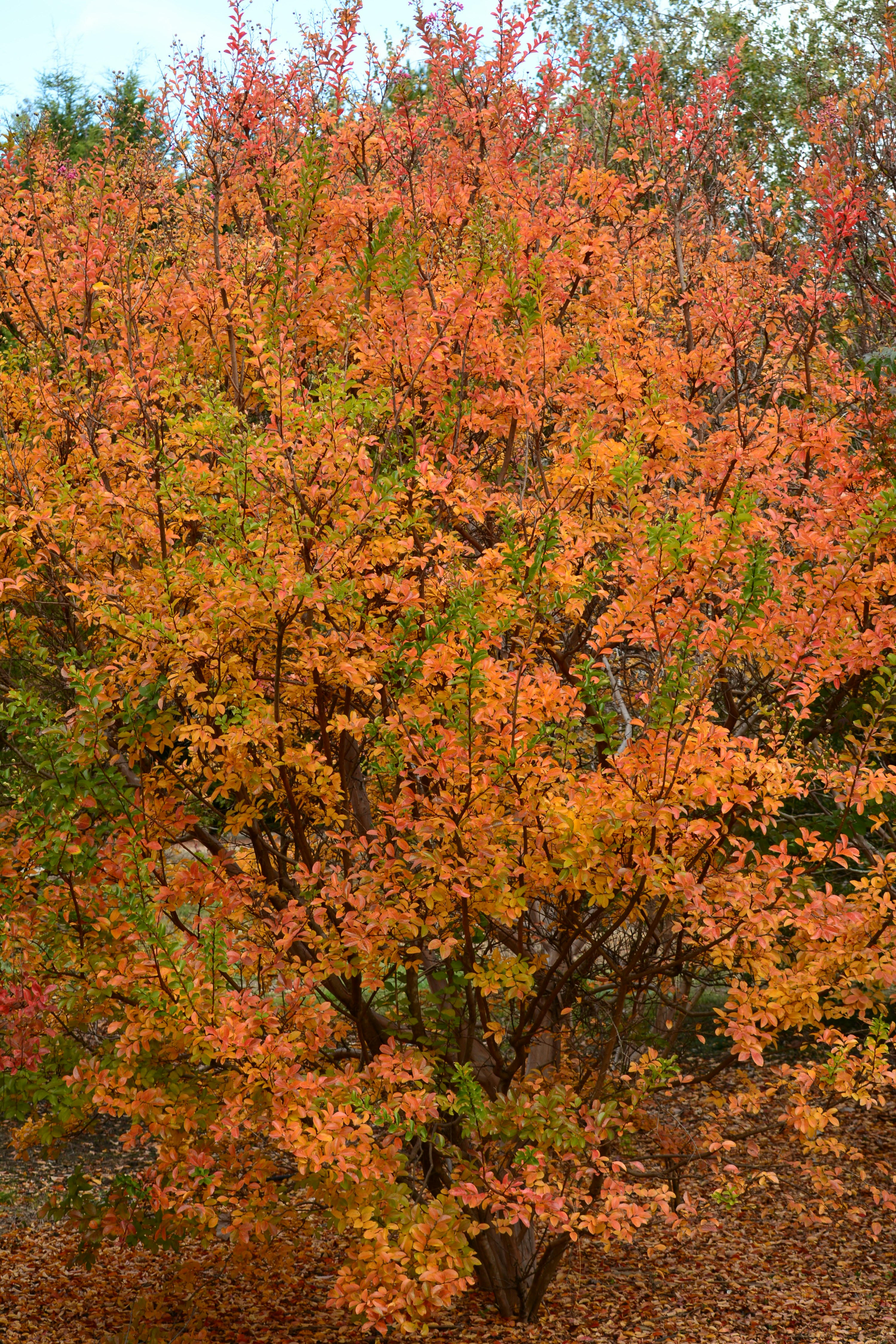 Photo by richard7seals