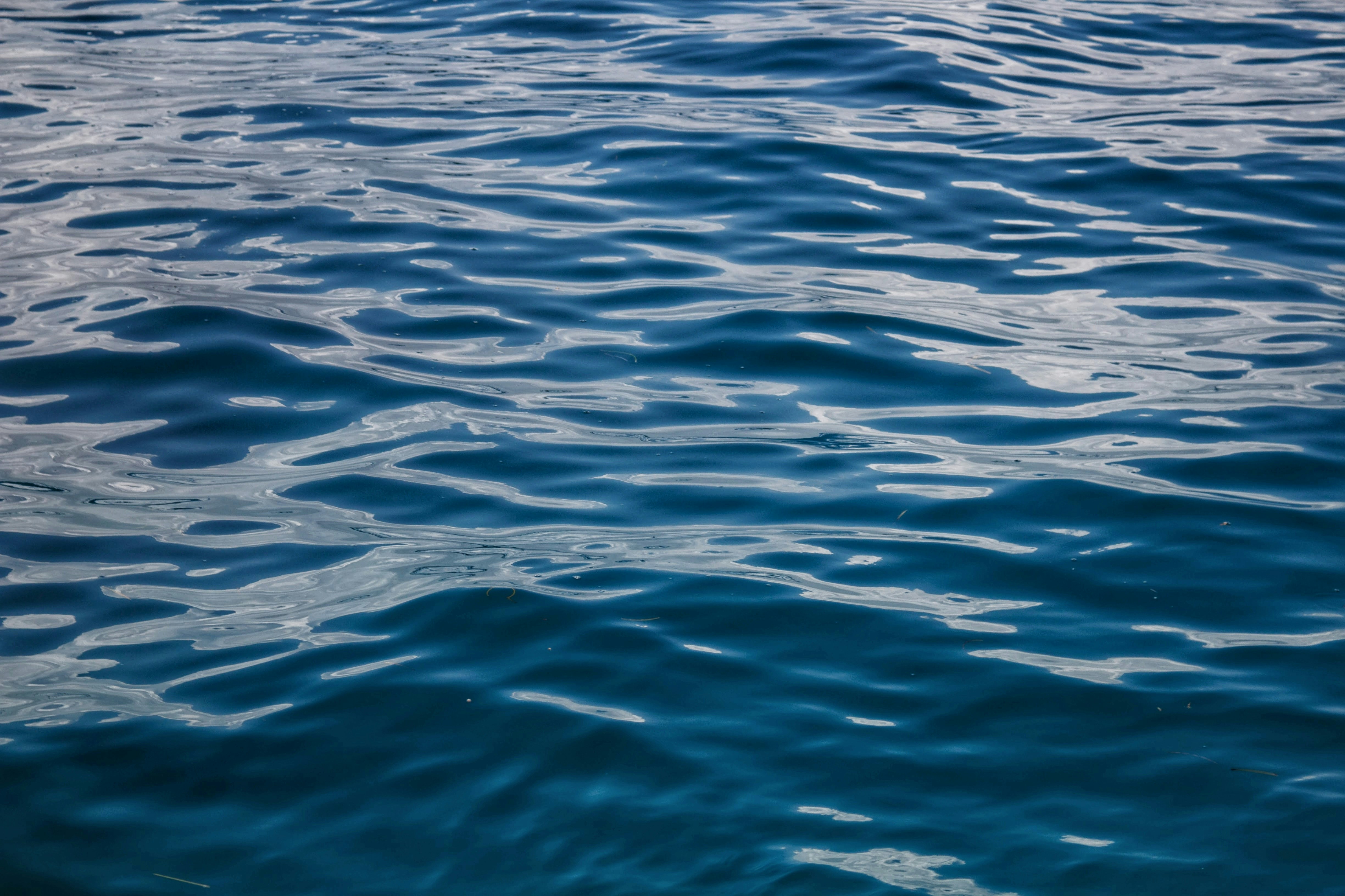 Photo by joshua_hoehne