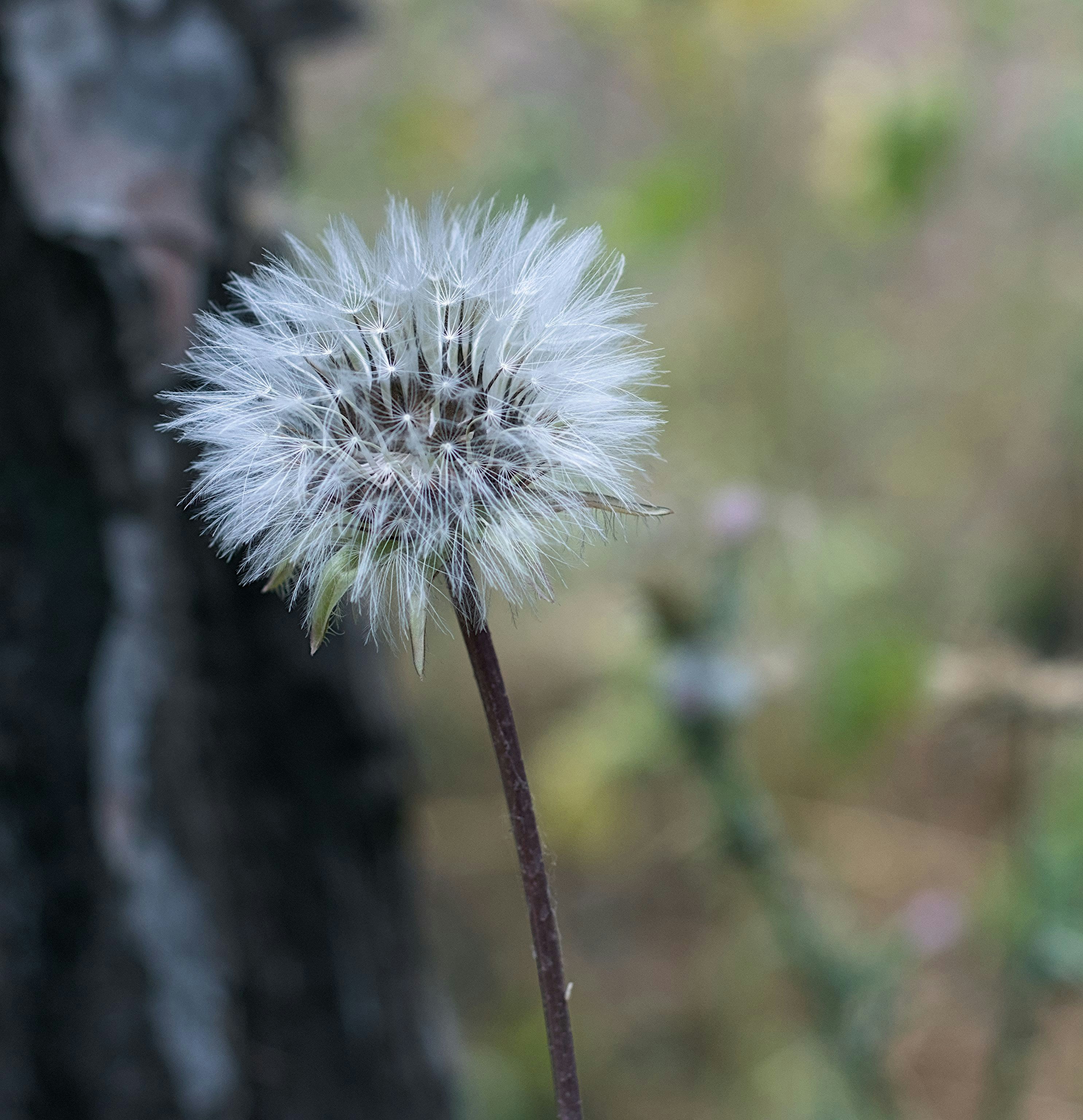 Photo by _dimitrios_
