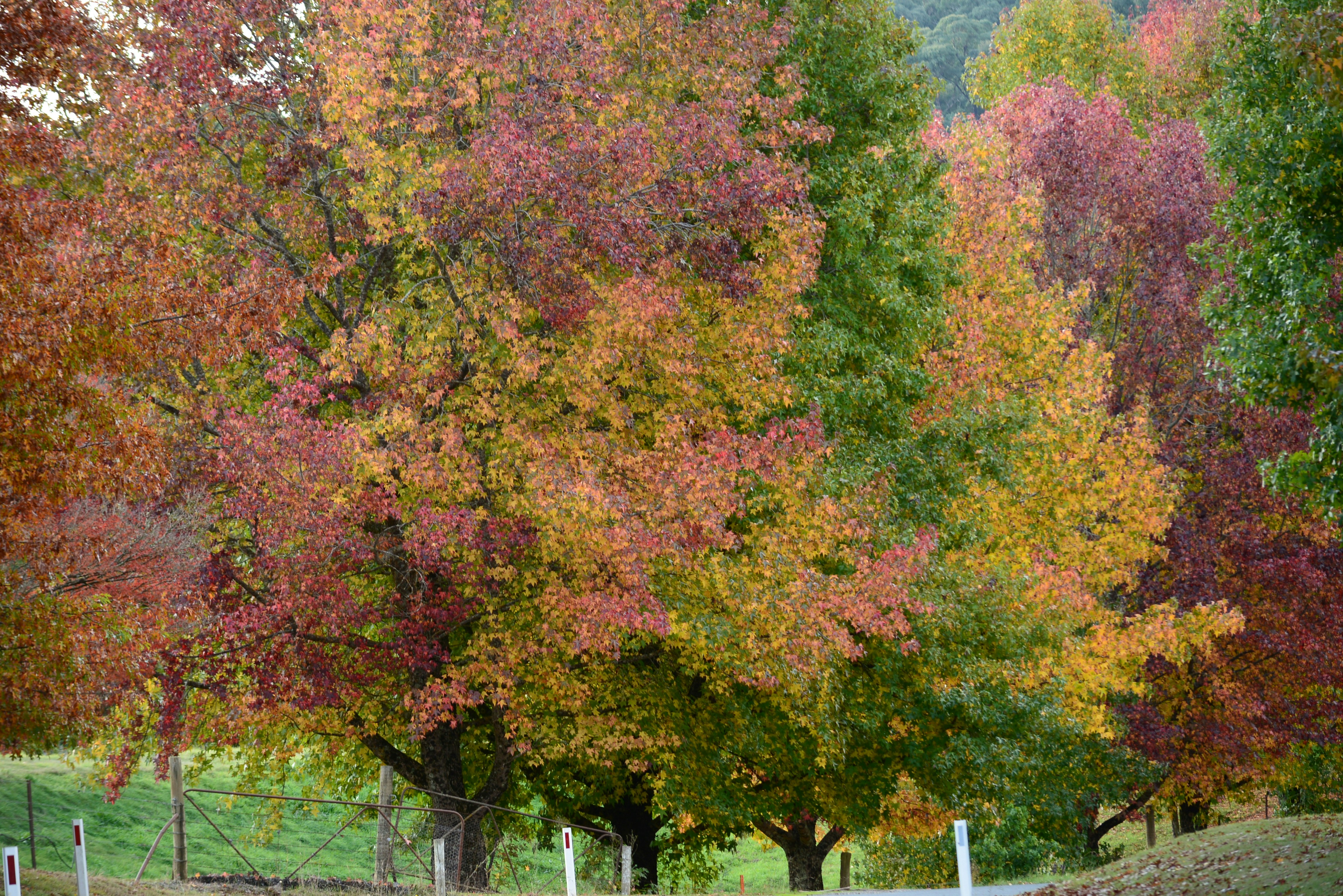 Photo by richard7seals