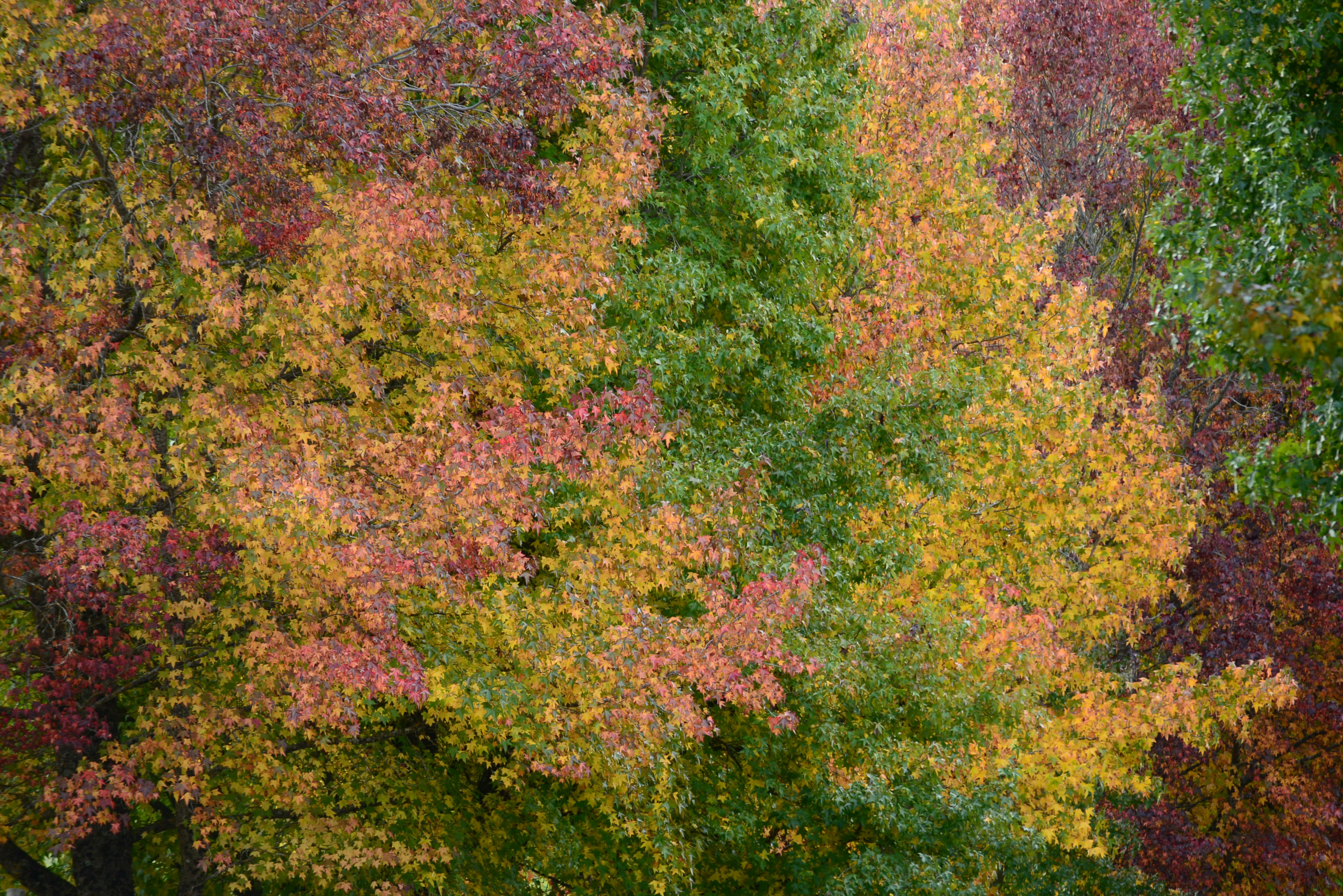 Photo by richard7seals