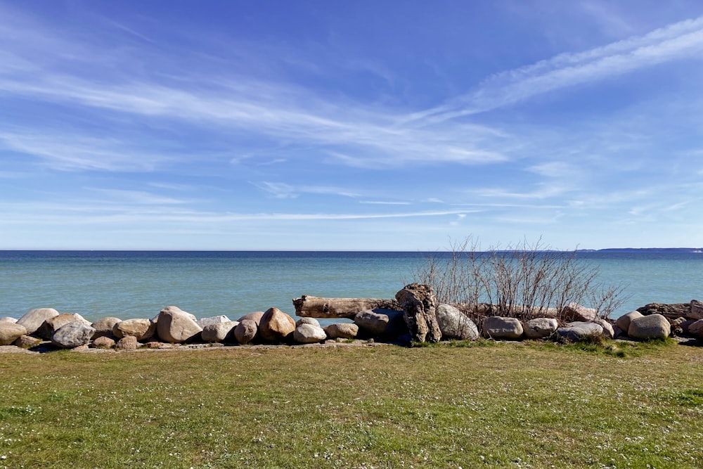 a grassy area with rocks and water in the background