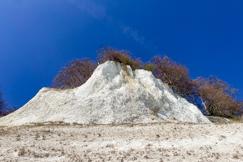 ein großer Felsen mit Bäumen darauf