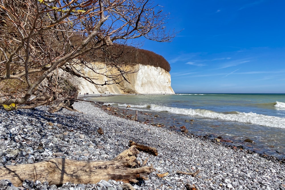 Una spiaggia rocciosa con una grande formazione rocciosa in lontananza