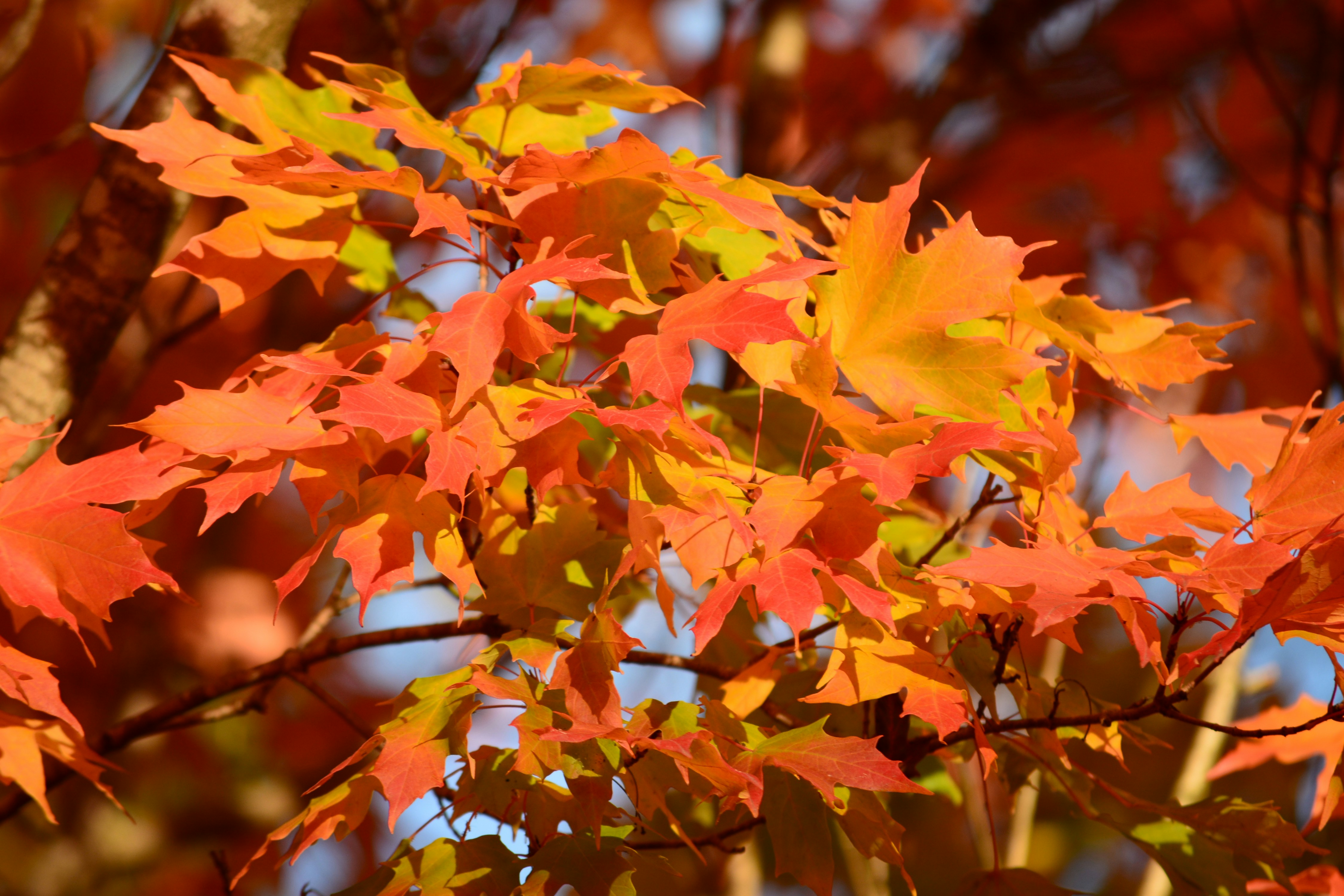 Photo by richard7seals