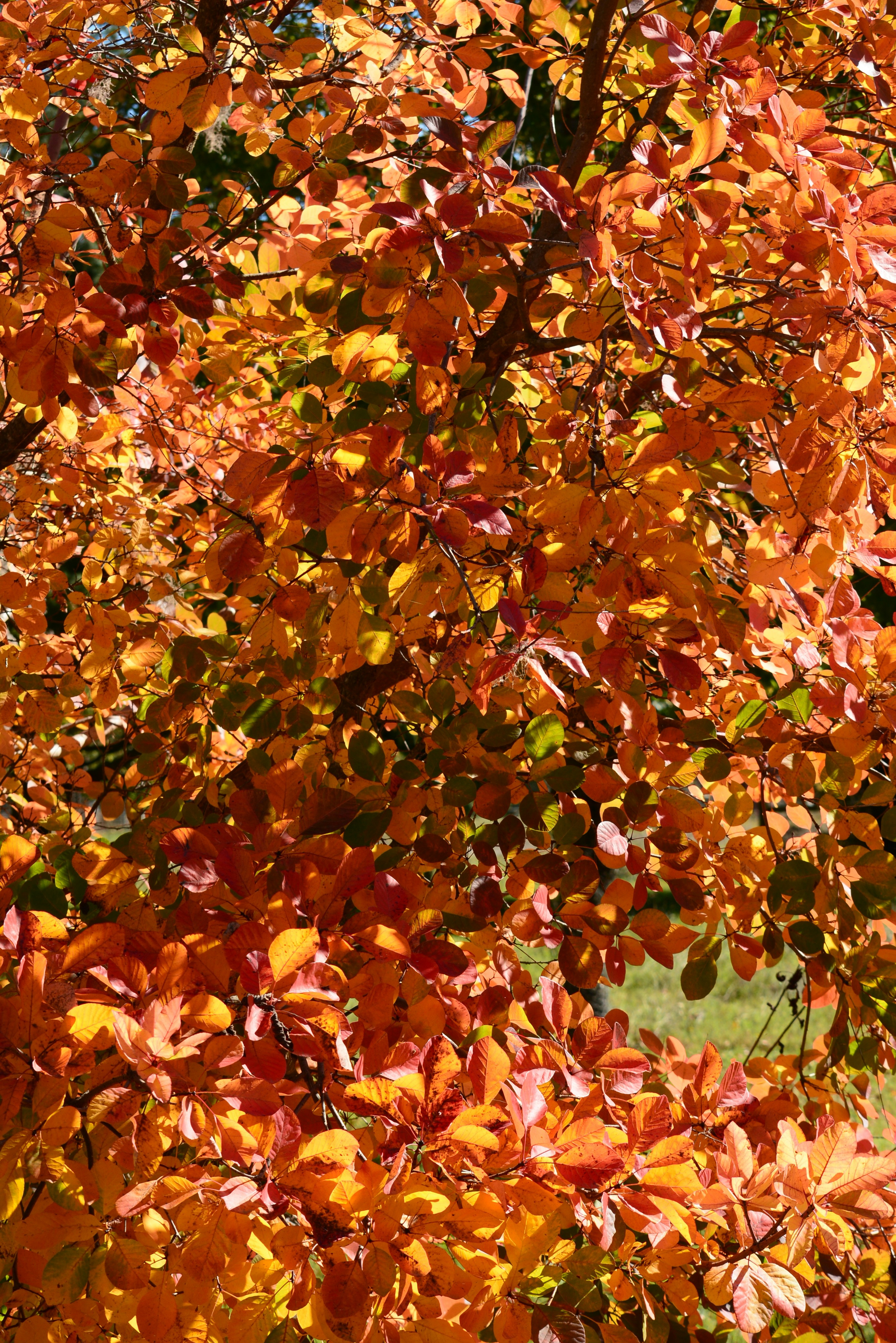 Photo by richard7seals