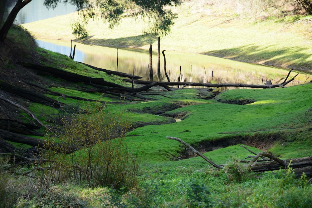 un área vallada con un cuerpo de agua en el fondo