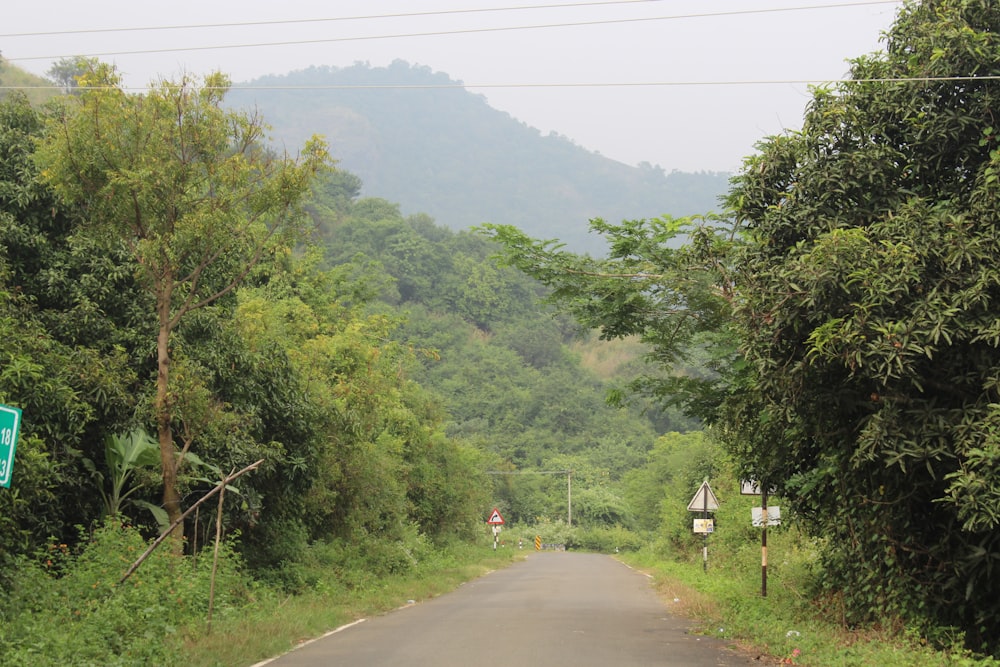 a road with trees on the side