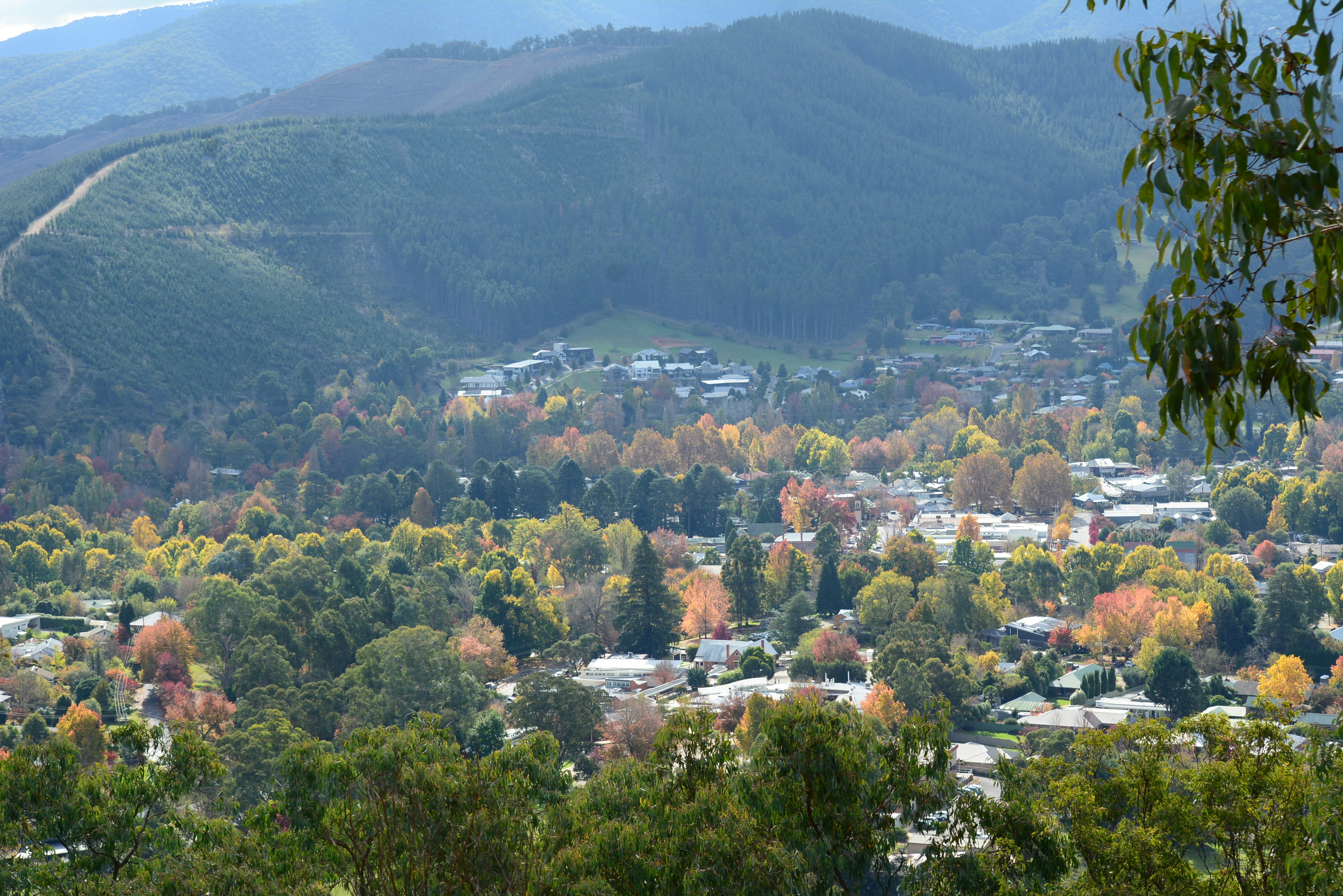 Photo by richard7seals