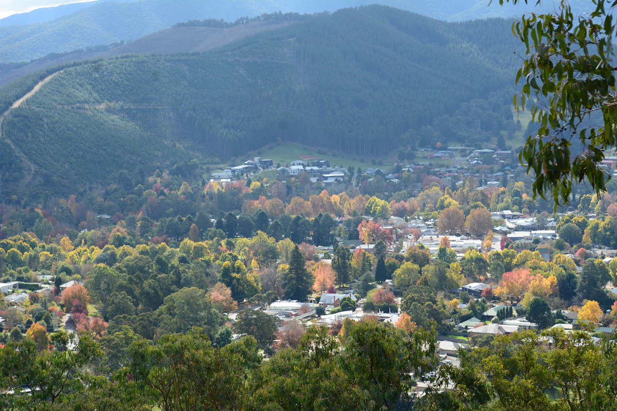 Bright in autumn color below steep forested hills