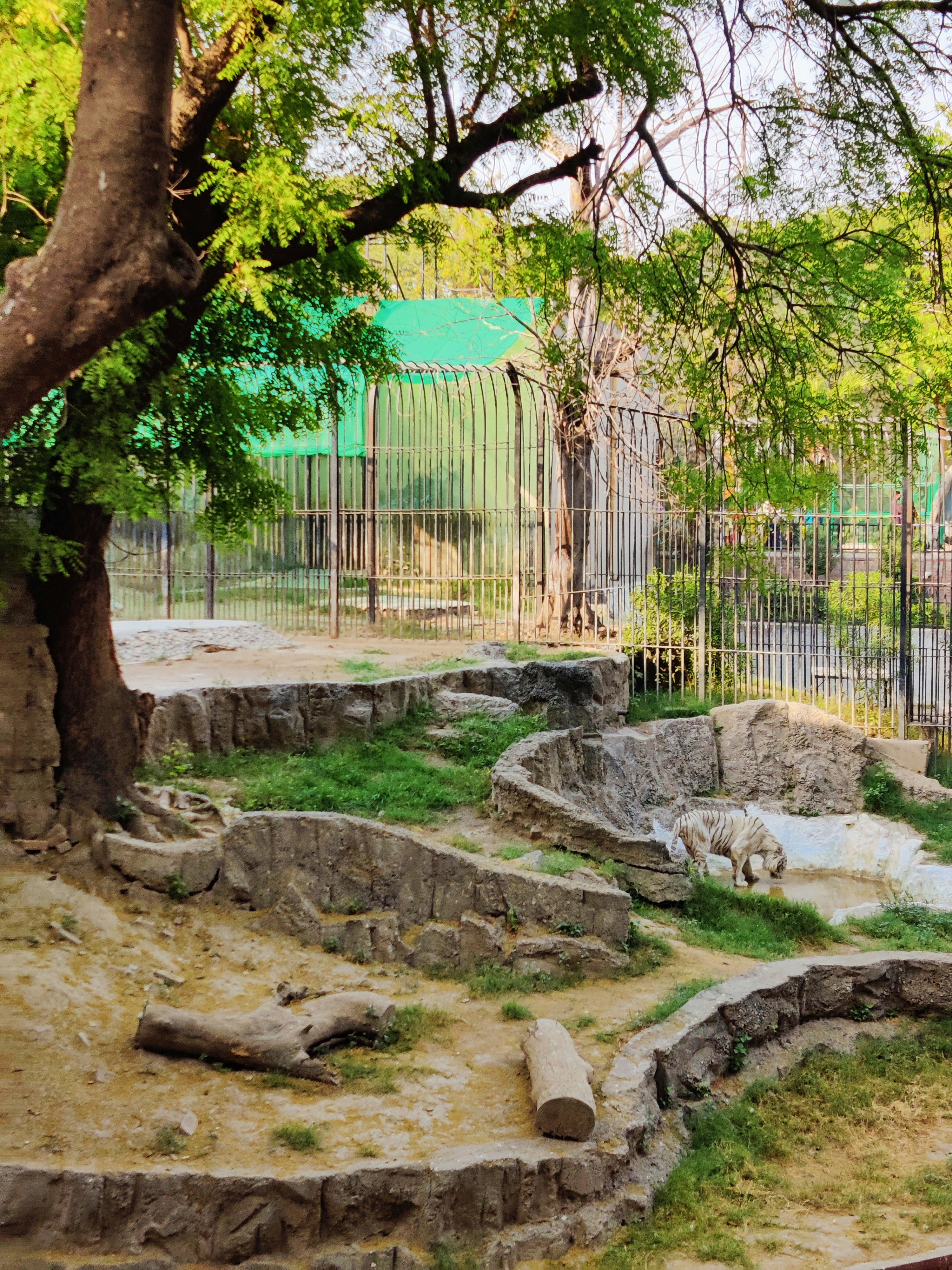 Dehiwala Zoological Garden photo 3