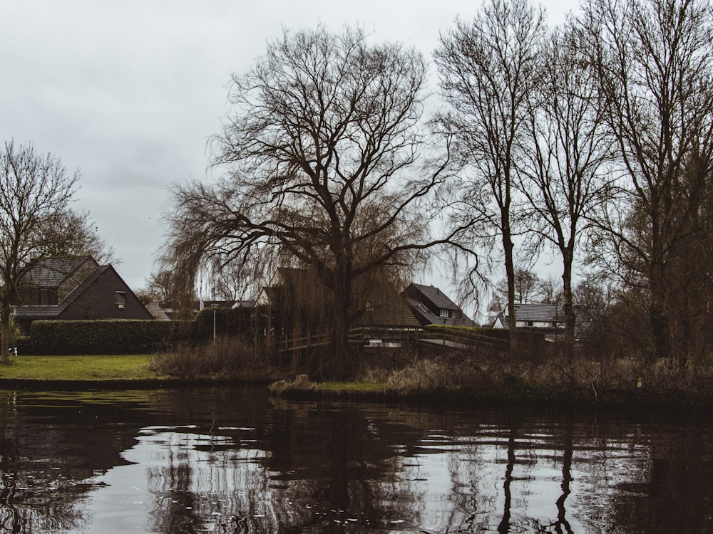 a house next to a lake