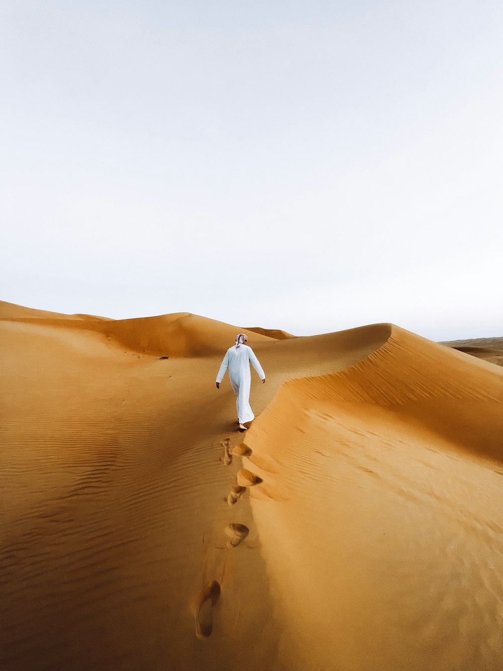 a person walking in the desert