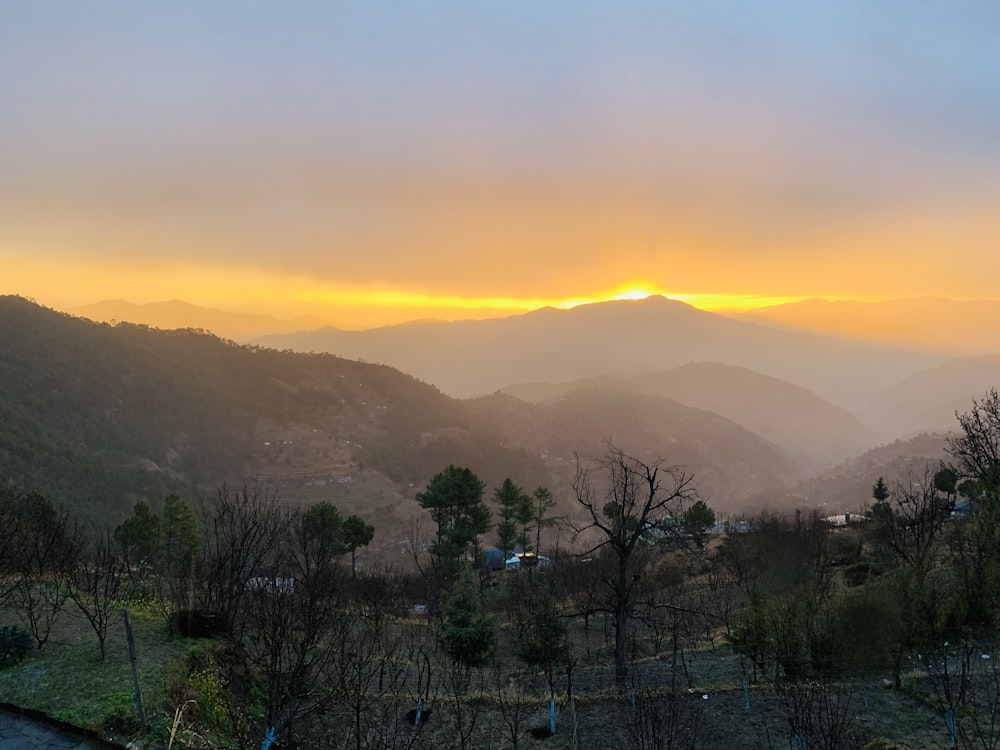 a landscape with trees and hills