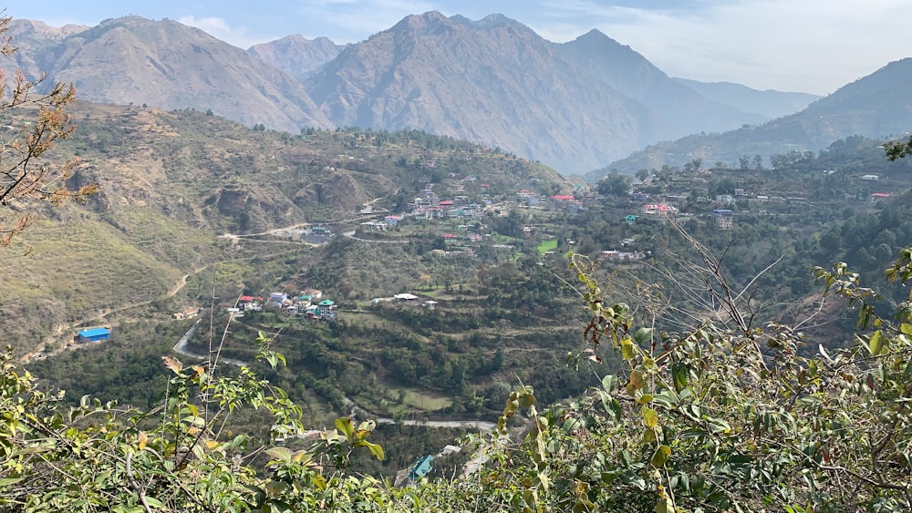 a valley with houses and trees