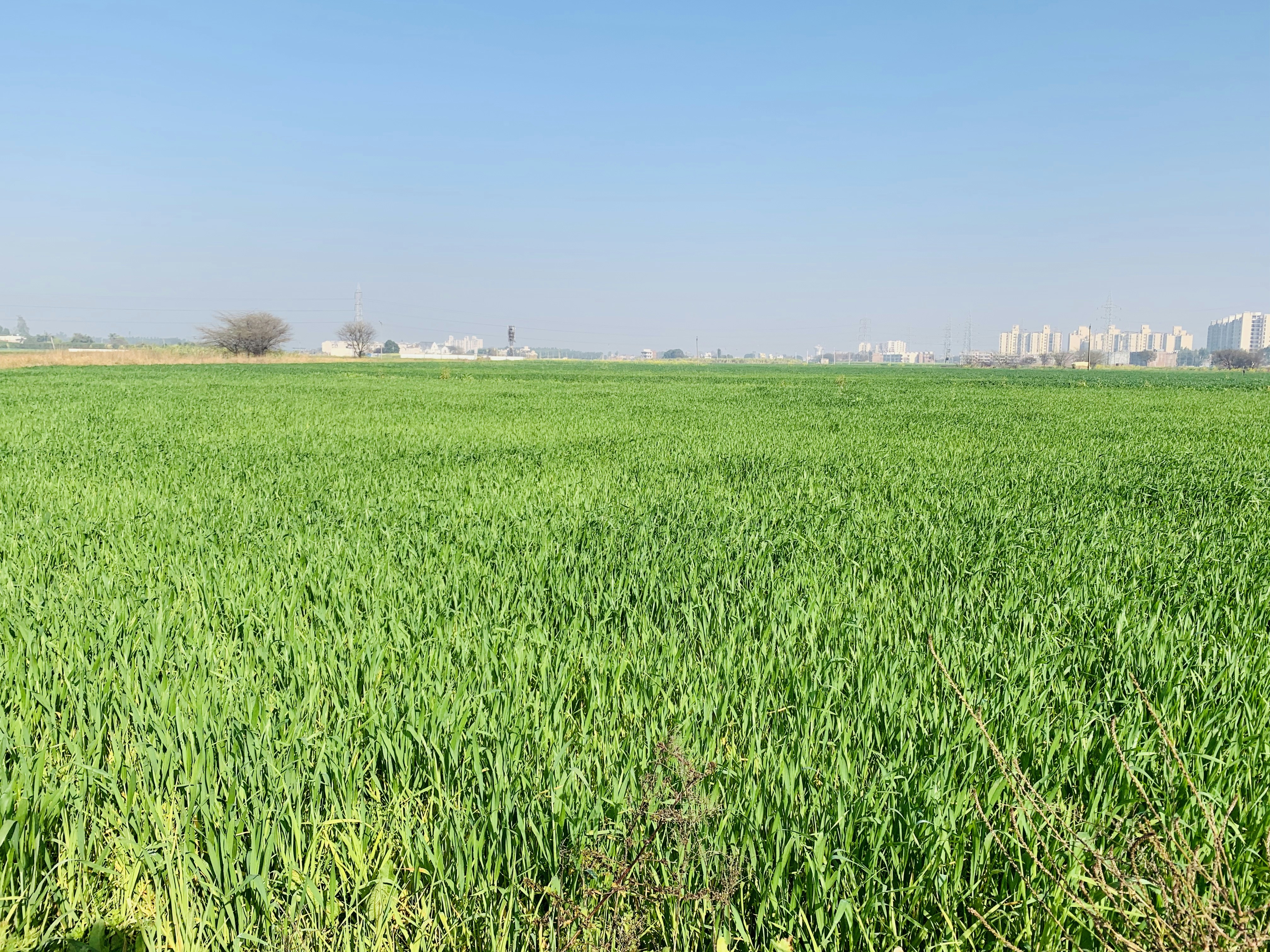 Photo by enduringbuddha