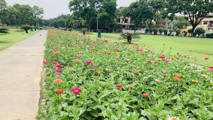 A mixed flower border with layered planting