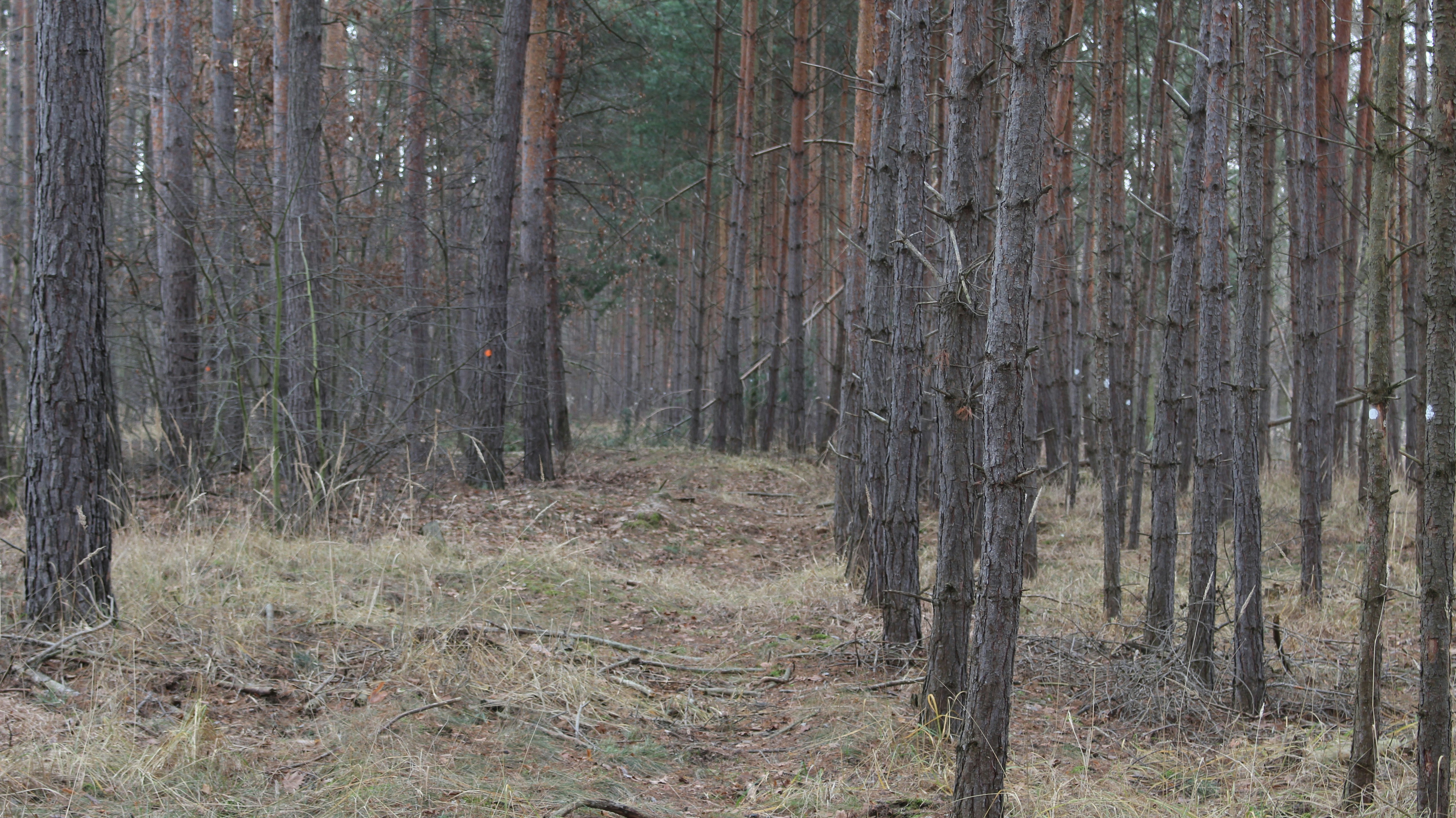 Photo by marjorylucabaxter