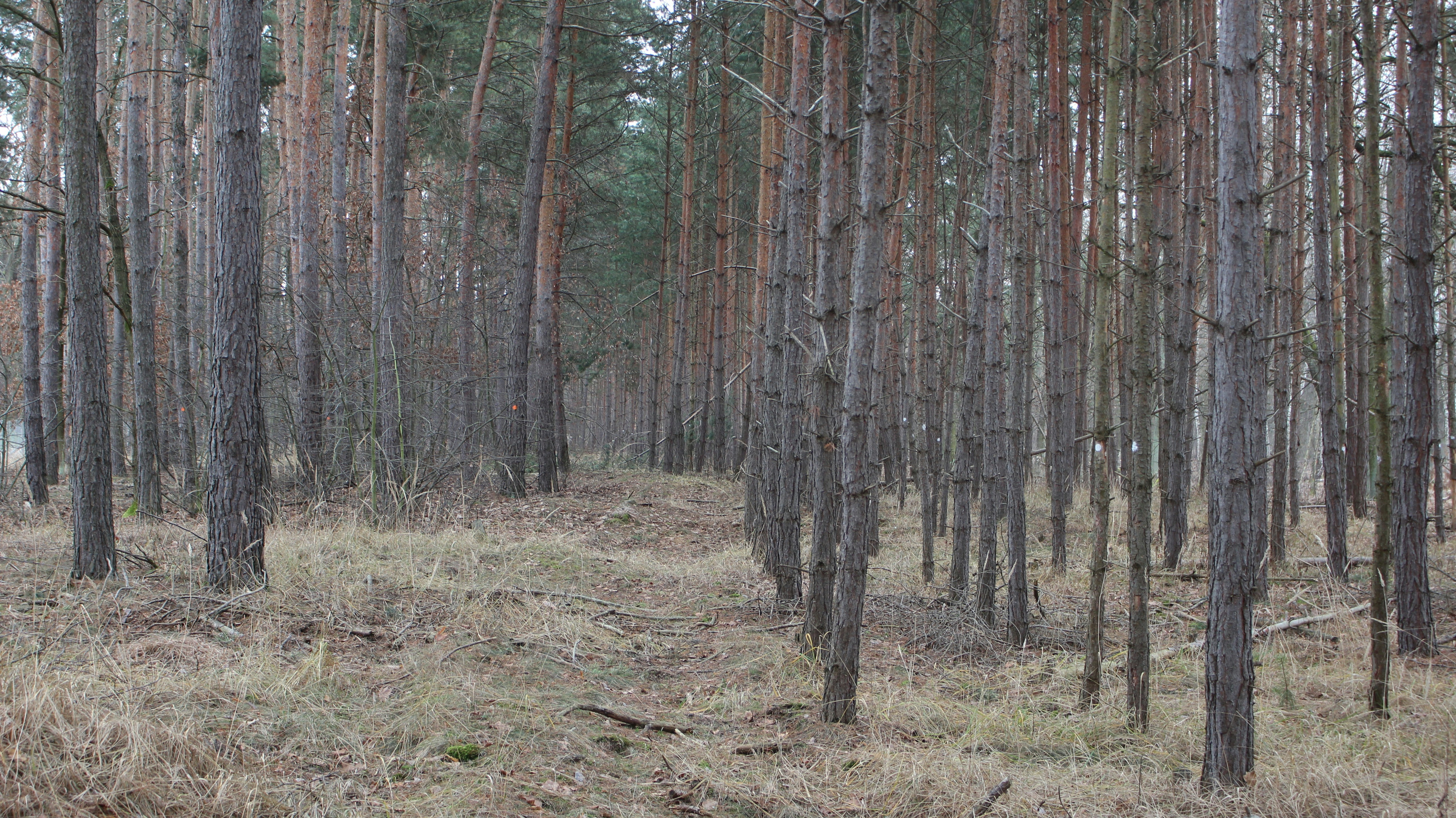 Photo by marjorylucabaxter