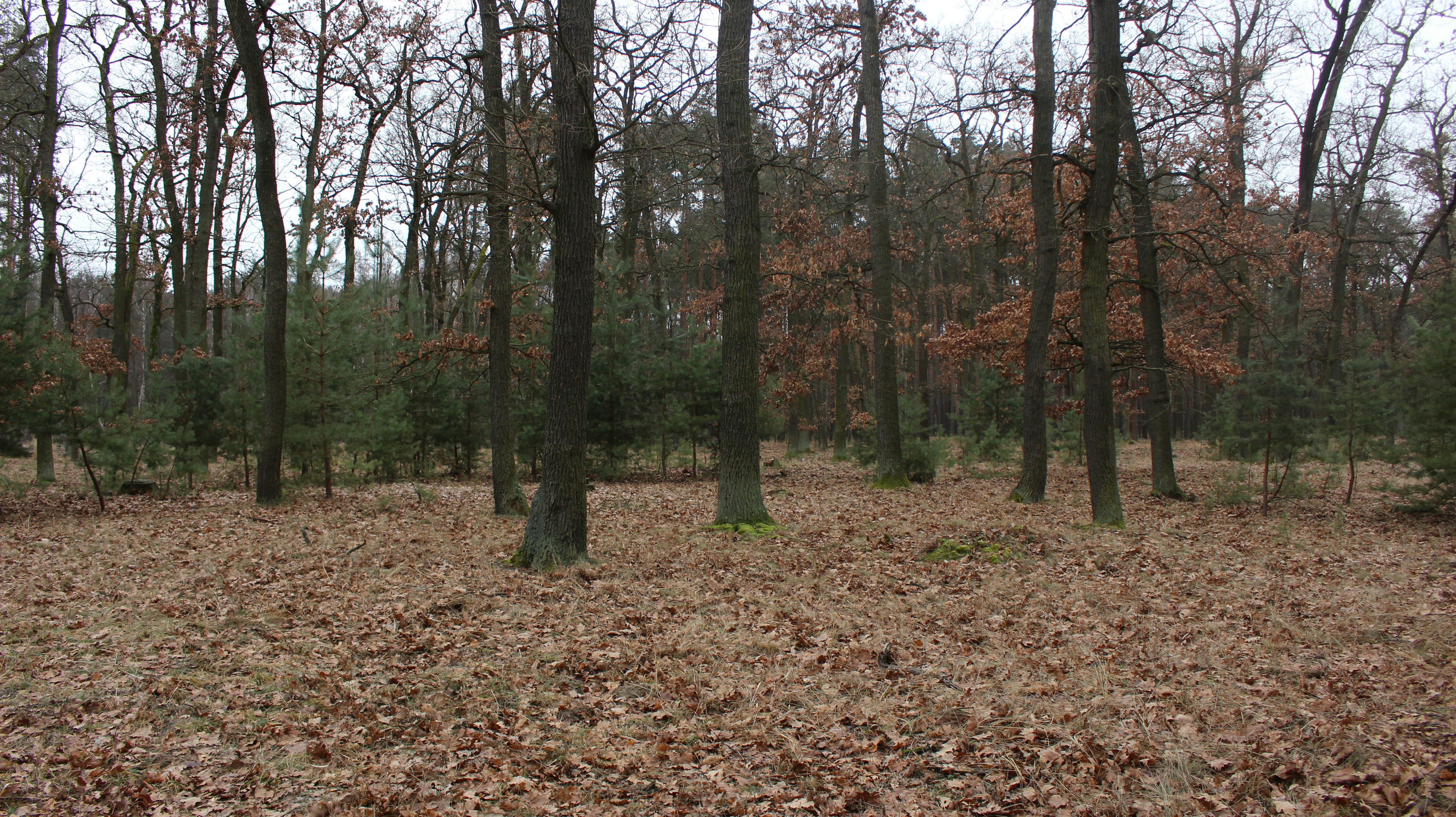 Photo by marjorylucabaxter