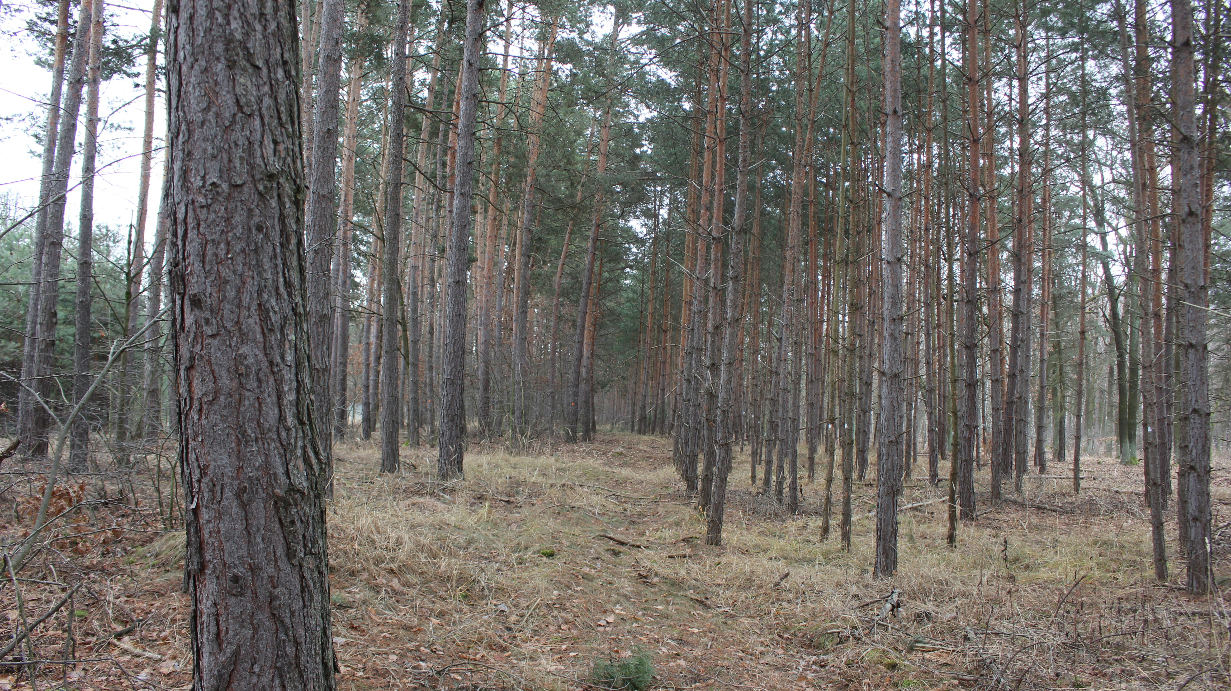 Photo by marjorylucabaxter