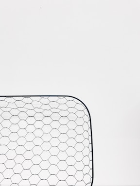 A close-up view of a hexagonal wire mesh, likely made of metal, against a white background. The mesh forms a curved rectangular shape, consisting of evenly spaced hexagonal patterns.