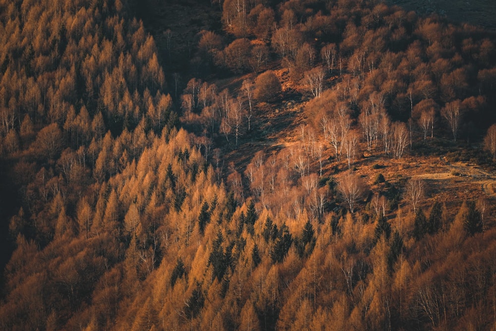 a canyon with a sunset in the background