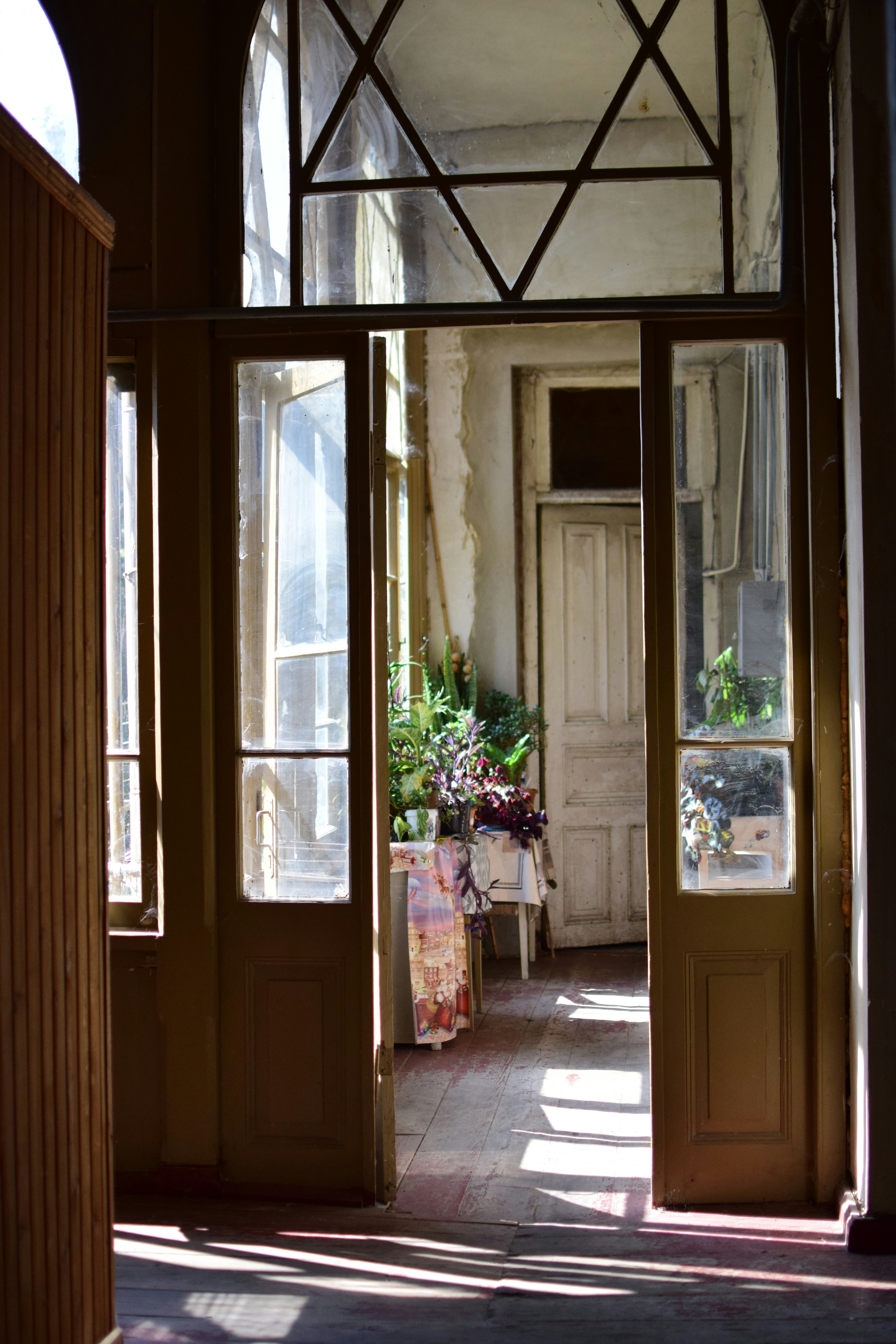 P.P.U.H. "DOMEX" J.SAWECZKO, K.SAWECZKO, S.JUŃKO, A.JUŃKO SPÓŁKA JAWNA