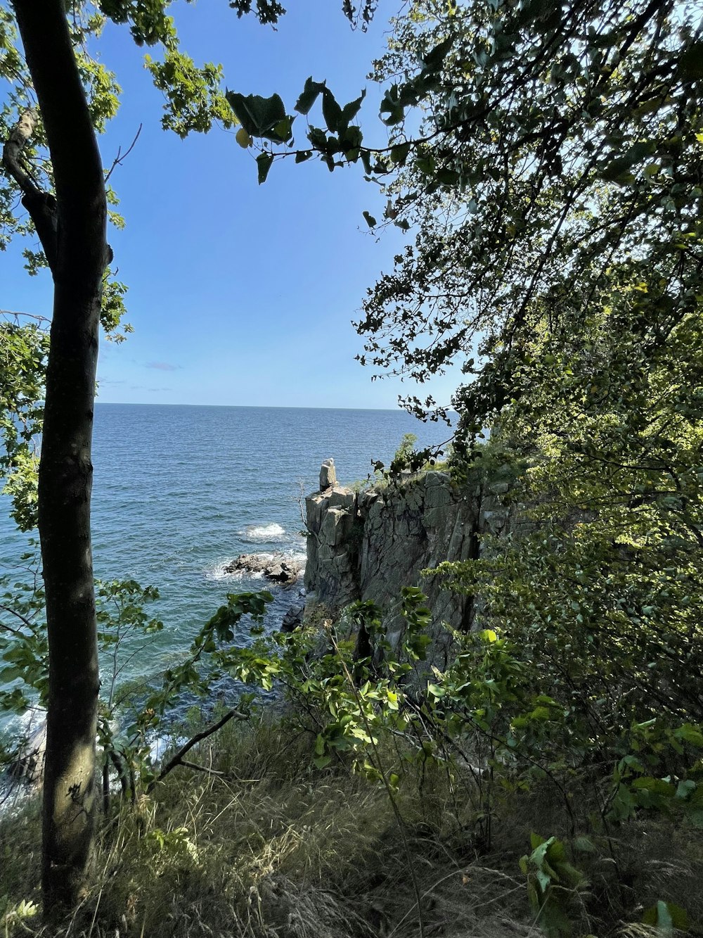 a cliff with trees and a body of water in the background