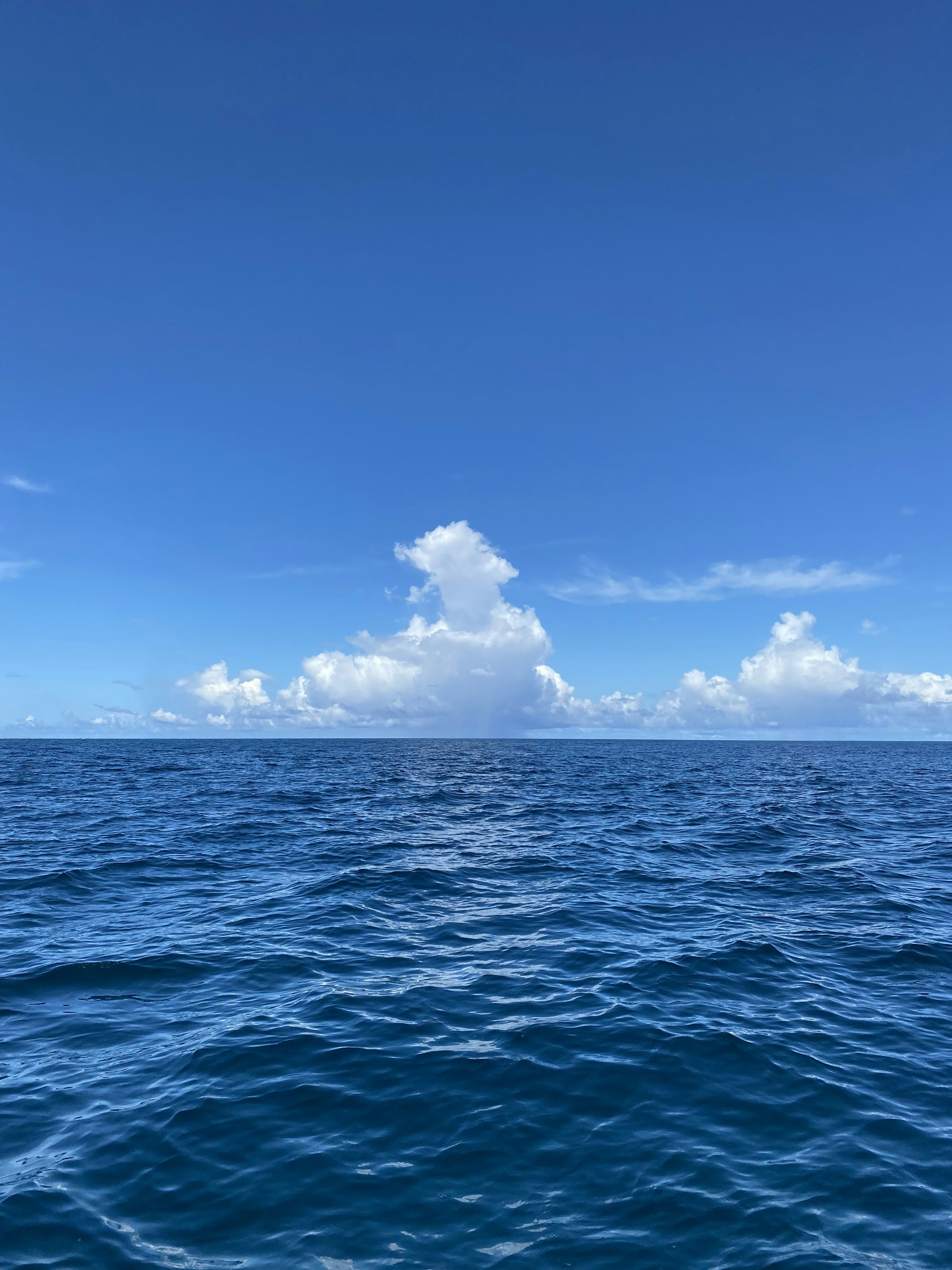 Photo by varunhorril10